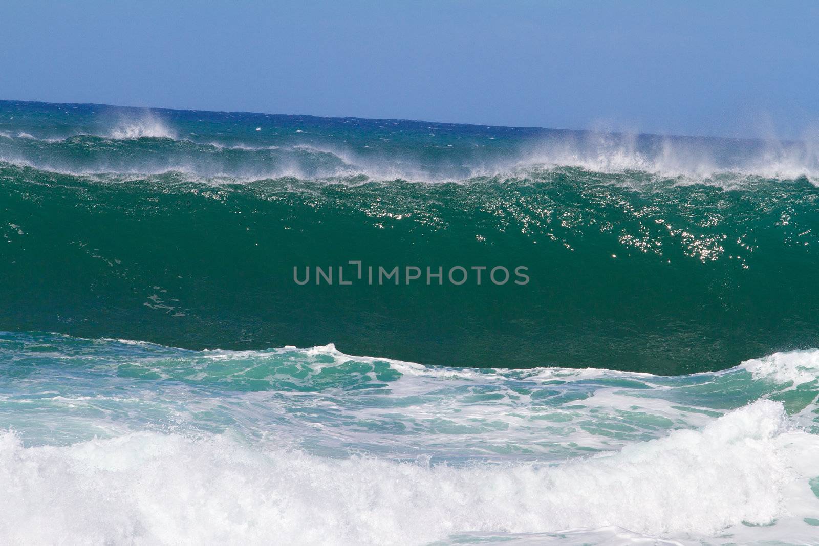 Large waves break off the north shore of oahu hawaii during a great time for surfers surfing. These waves have hollow barrells and are located at pipeline by sunset beach.