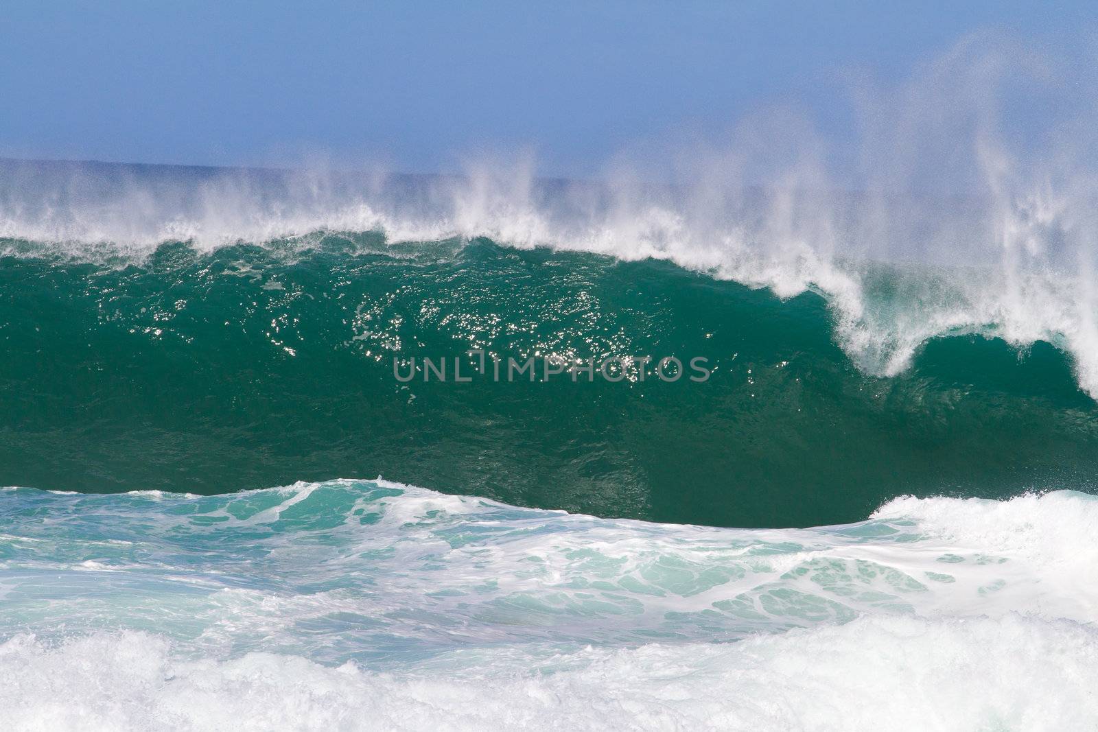 Large waves break off the north shore of oahu hawaii during a great time for surfers surfing. These waves have hollow barrells and are located at pipeline by sunset beach.