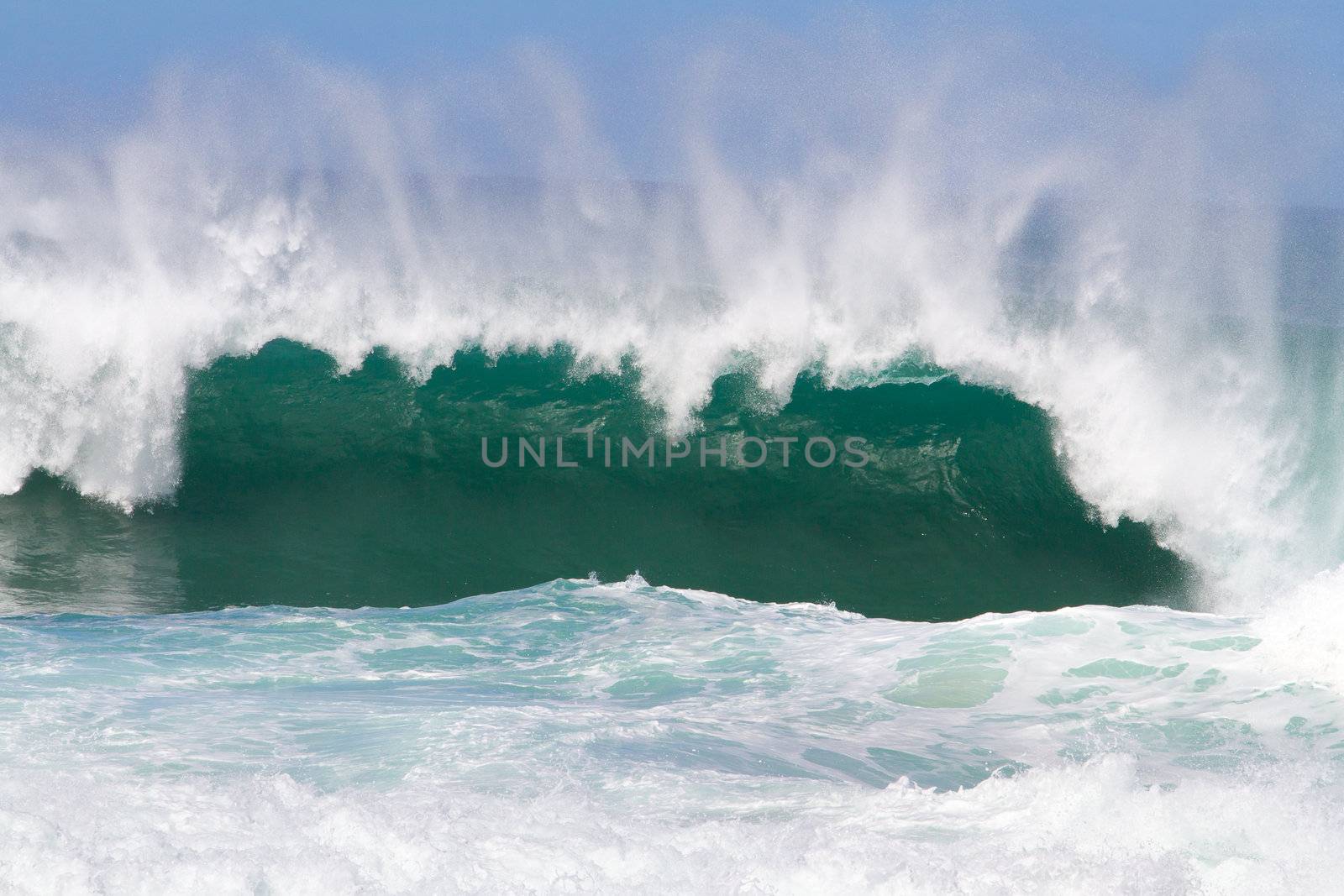 Large waves break off the north shore of oahu hawaii during a great time for surfers surfing. These waves have hollow barrells and are located at pipeline by sunset beach.