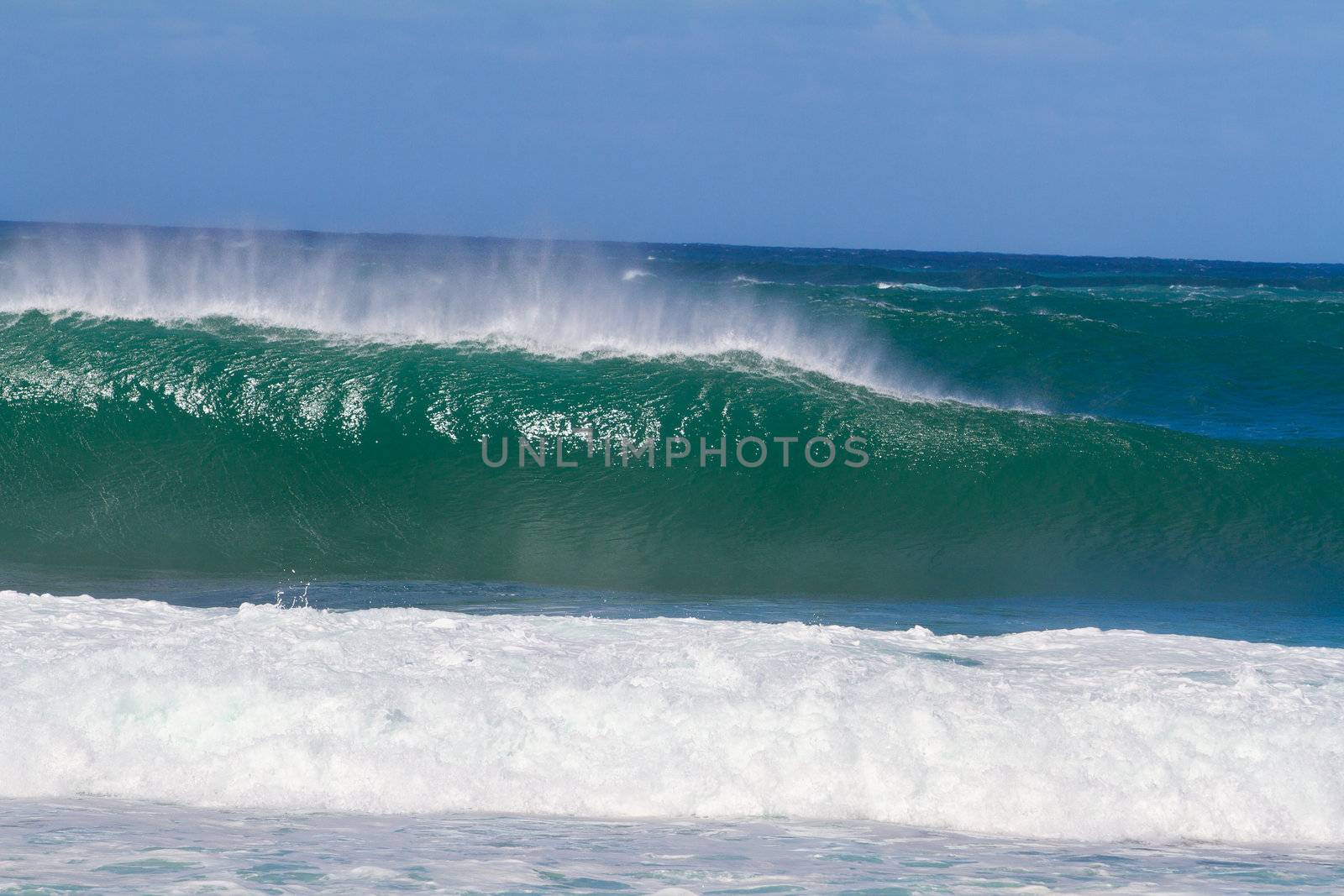 Large waves break off the north shore of oahu hawaii during a great time for surfers surfing. These waves have hollow barrells and are located at pipeline by sunset beach.