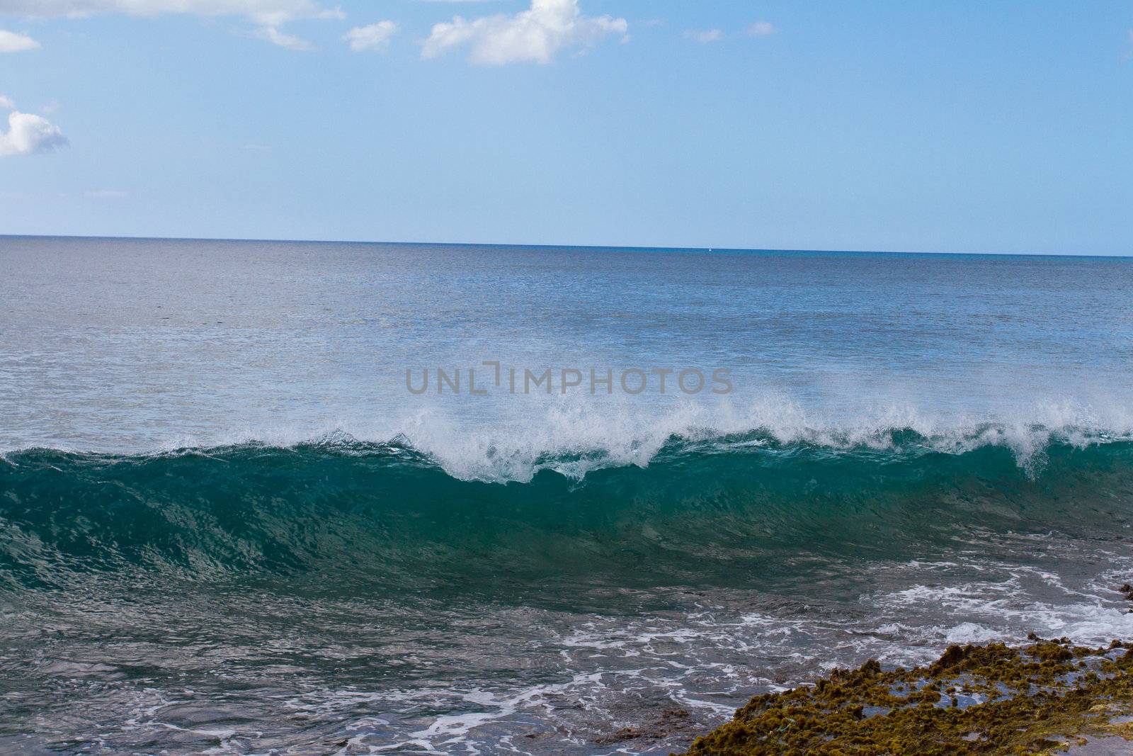 These almost completely clear waves are swelling and breaking onto some rocks on Oahu Hawaii. These waves are interesting and different than most.