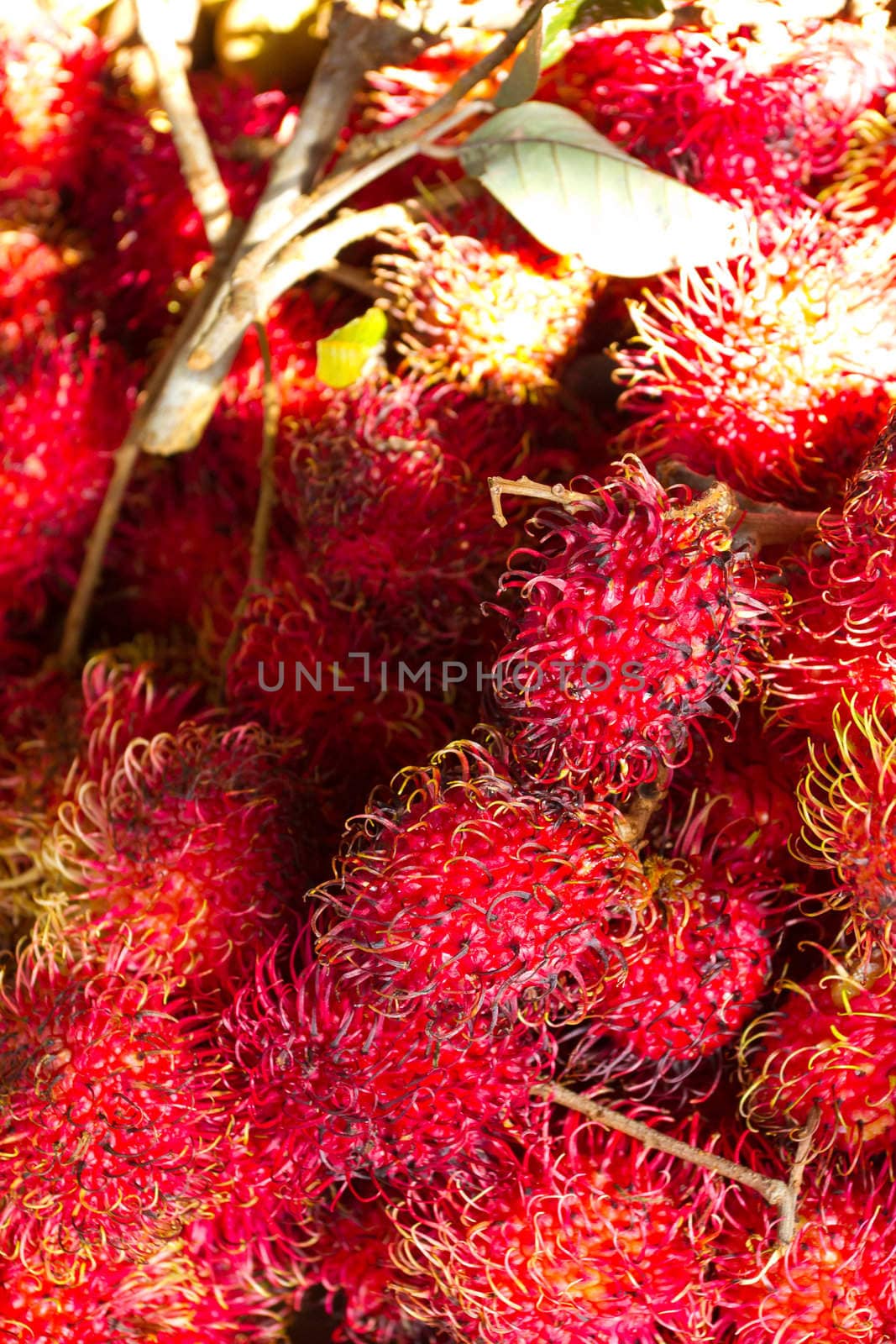 Images from a farmers market in Hawaii showing tropical fruits or vegetables in simple photos with vibrant colors.