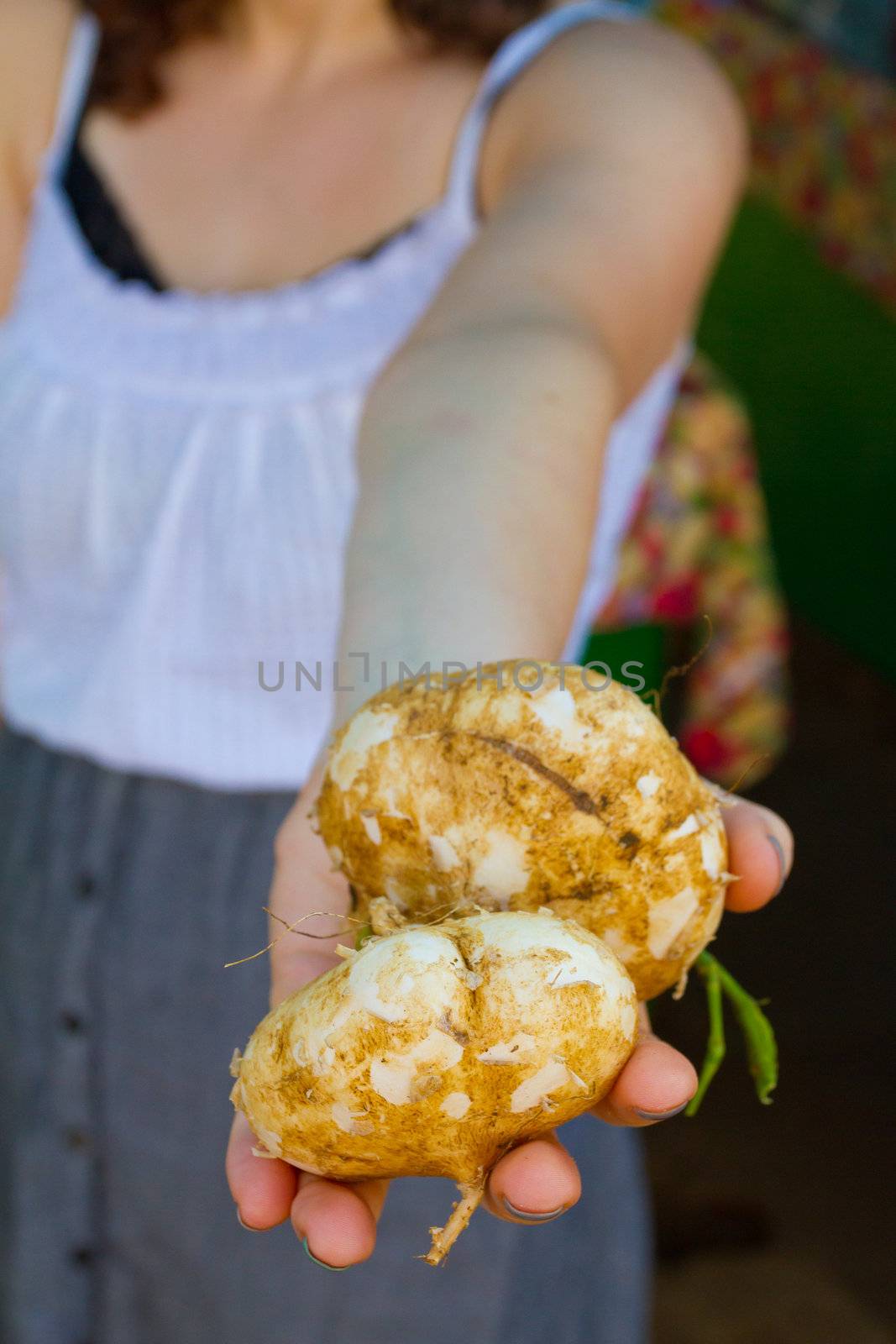An out of focus woman holds some unique tropical Hawaiian jicama in her hand.