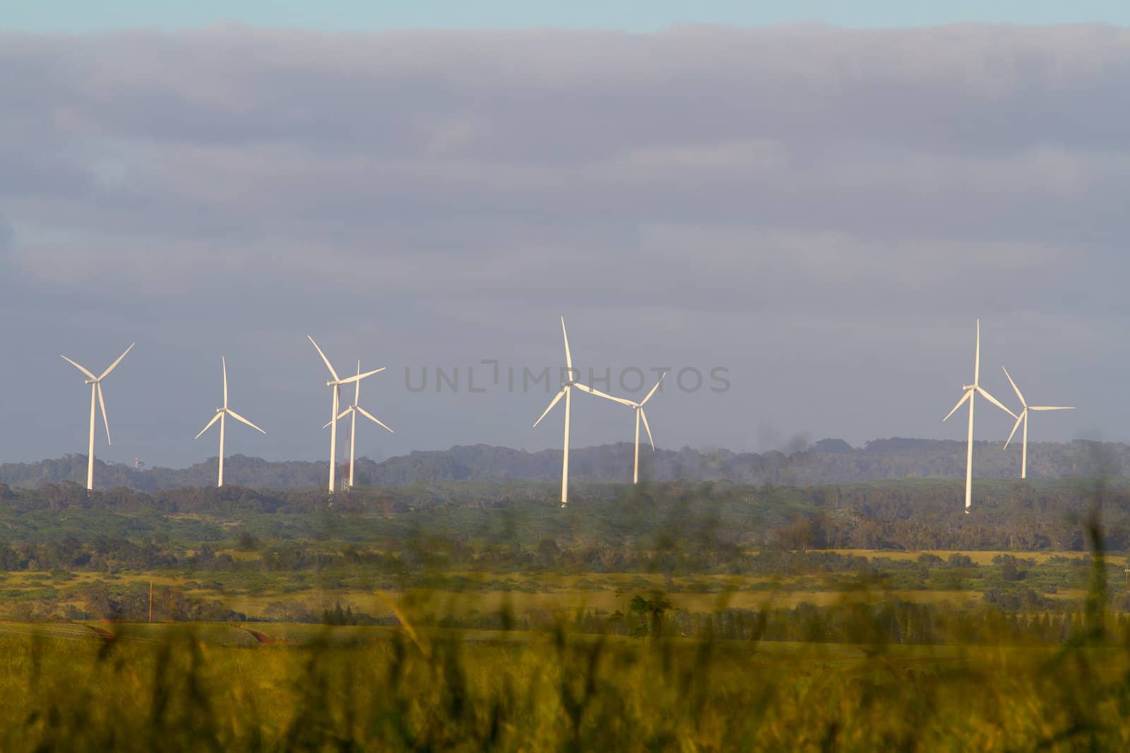 Kawailoa Wind Farm Hawaii by joshuaraineyphotography