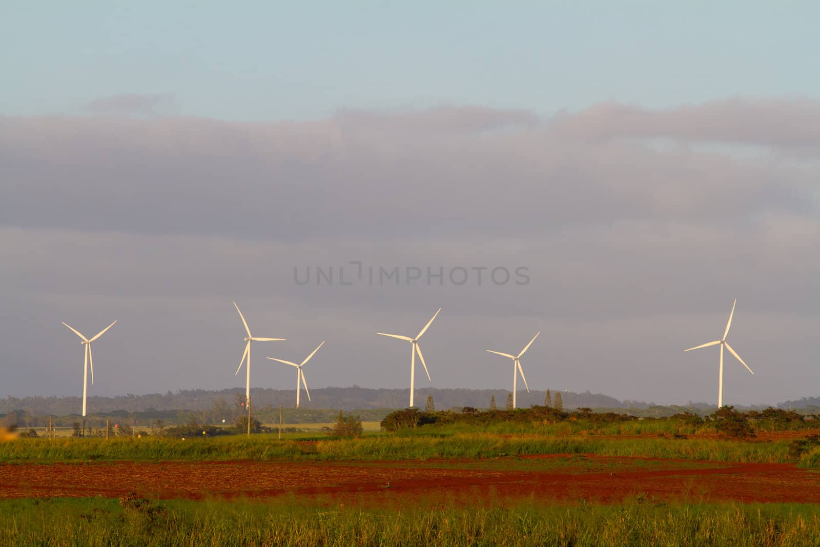 Kawailoa Wind Farm Hawaii by joshuaraineyphotography