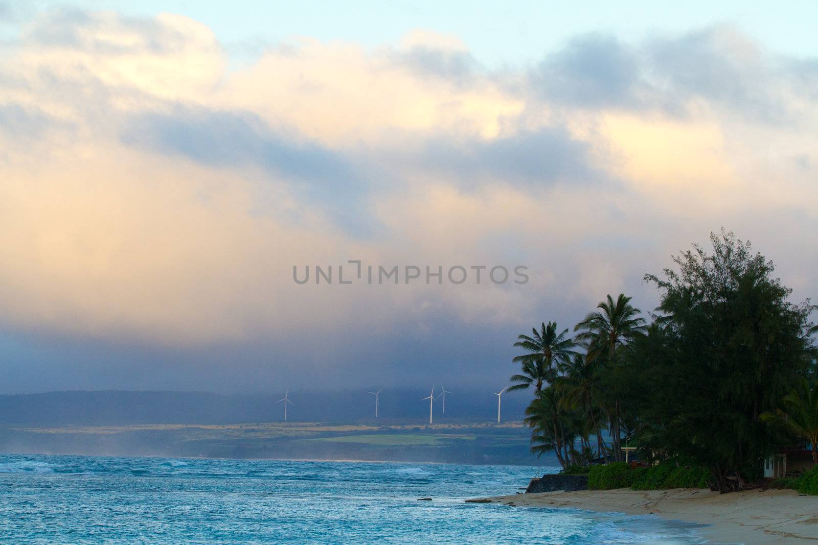 The tropical island of Oahu Hawaii hosts this huge wind farm just beyond the waves of the north shore. These wind turbines produce power for the island in a green environmentally friendly way.