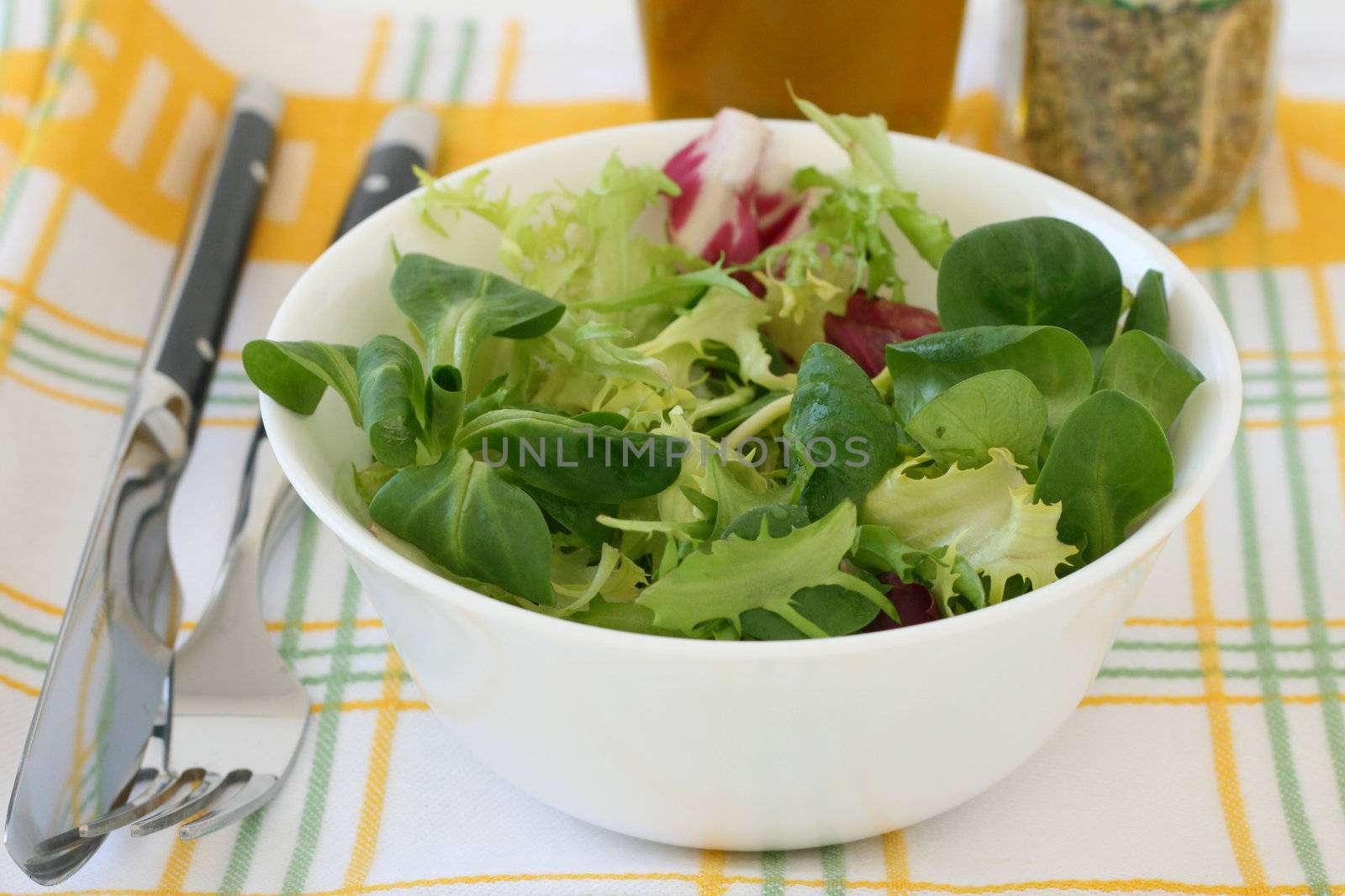 salad in the bowl