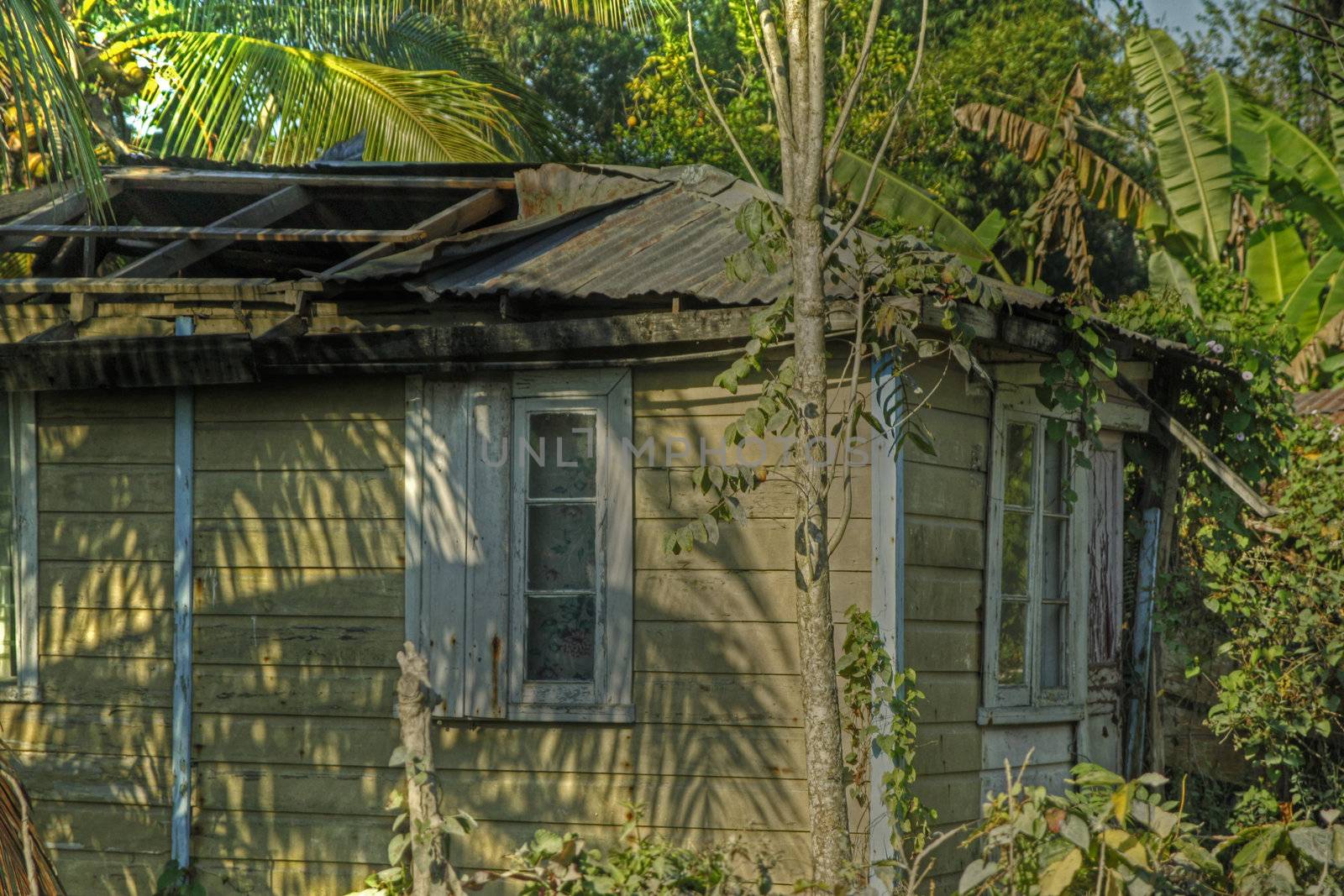 Housing on the side of the Blue Mountain in Jamaica with hole in roof