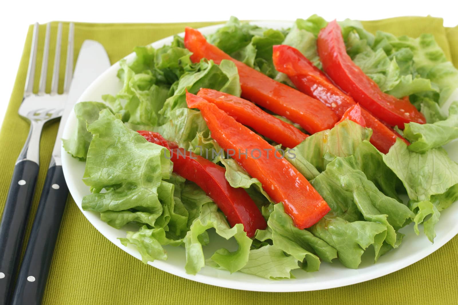 vegetable salad on the white plate by nataliamylova