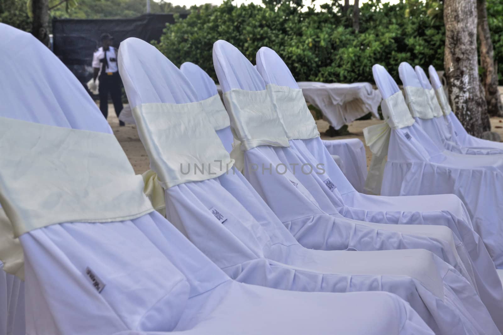 Ribons on chairs laid out for a tropical wedding