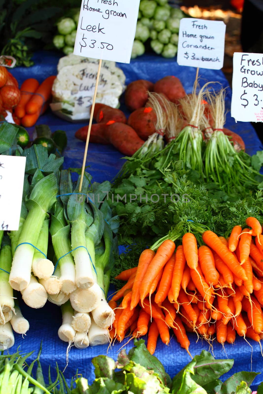 Fresh vegetables on Salamanca Market , Tasmania, Australia. 