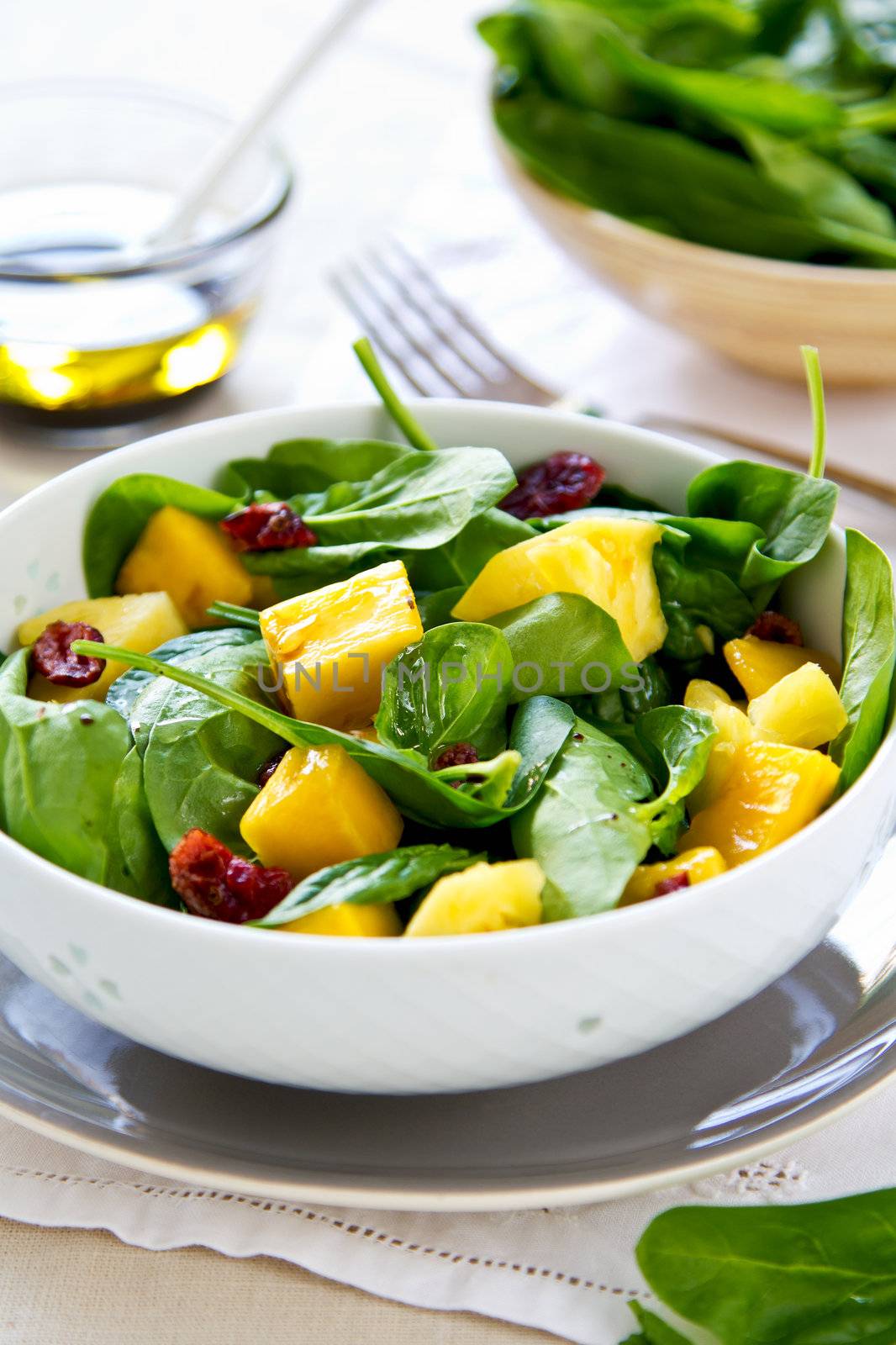 Mango and Pineapple with Spinach and dried cranberries salad