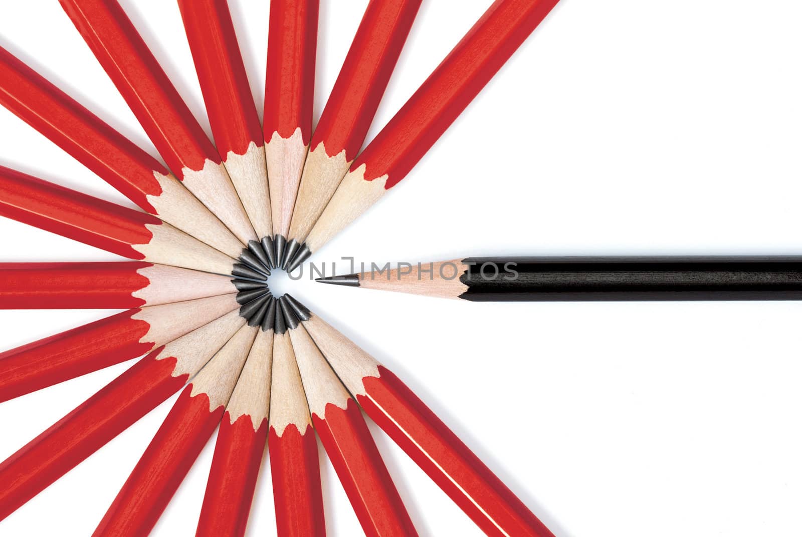 Close up of a black pencil standing out from a circle formed by the tips of several red pencils. Isolated on white