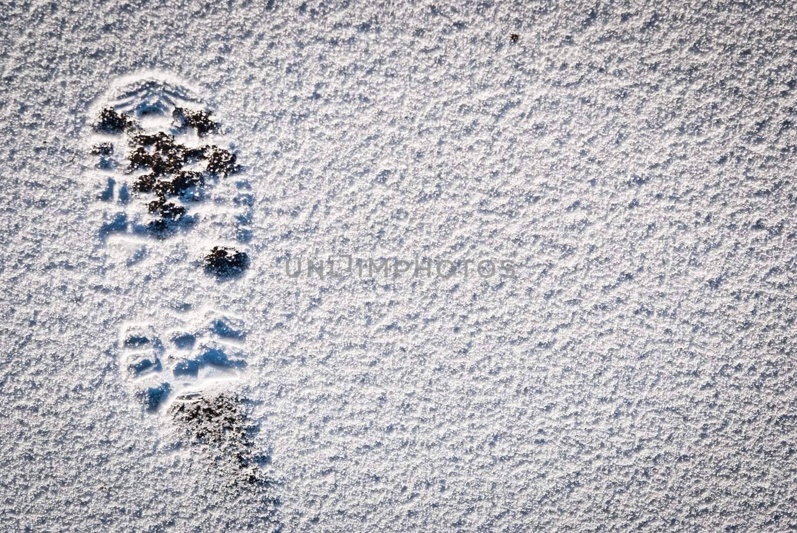Snow foot print background
 by sasilsolutions