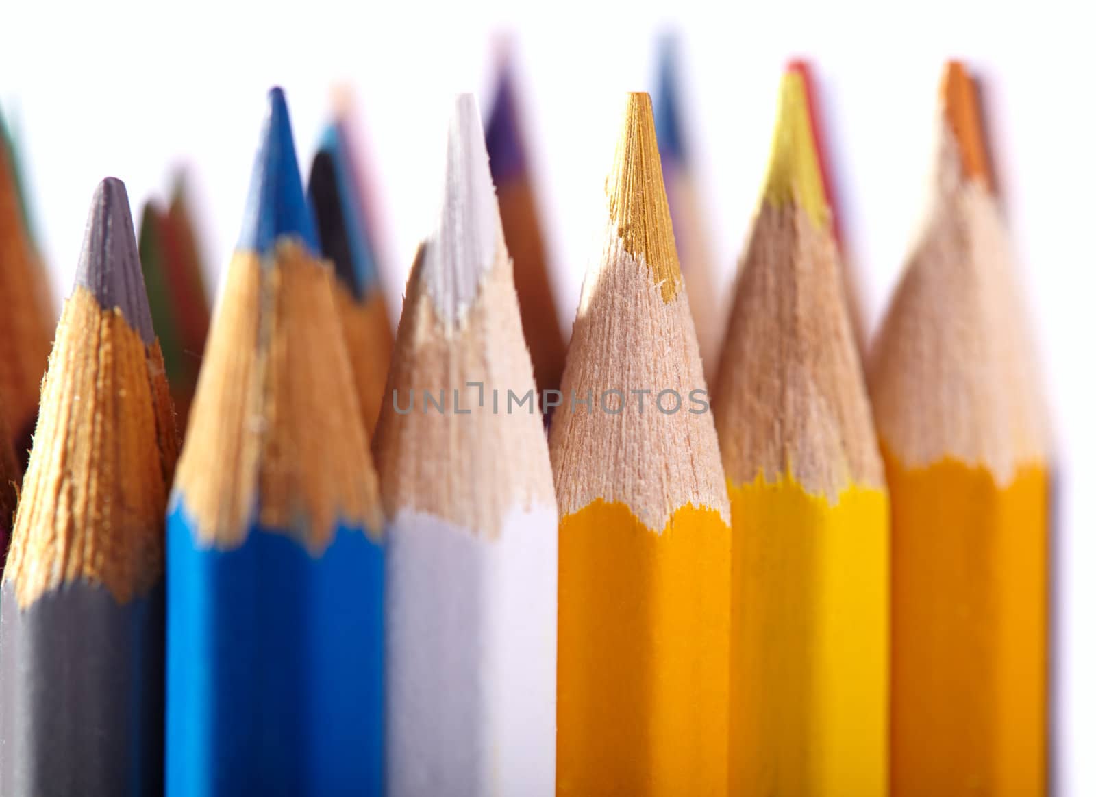 Macro shot of the color pencils isolated on white background. Artist's stuff.
