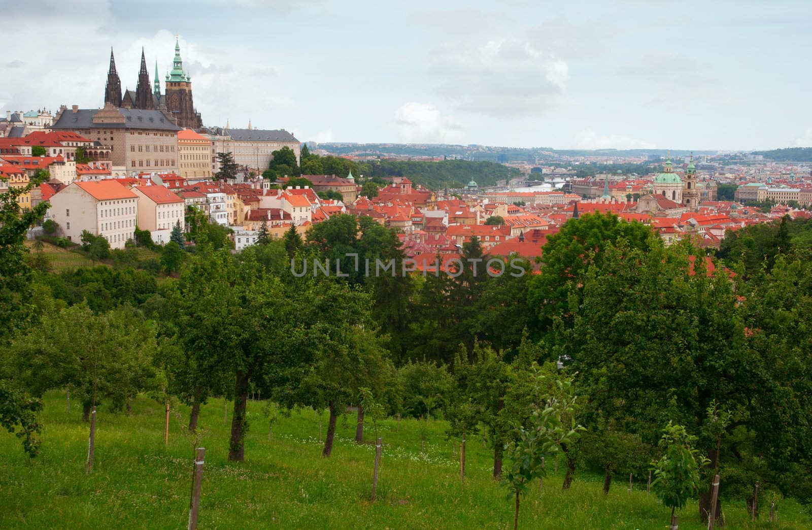 Prague Castle With St. Vitus Cathedral, Czech Republic