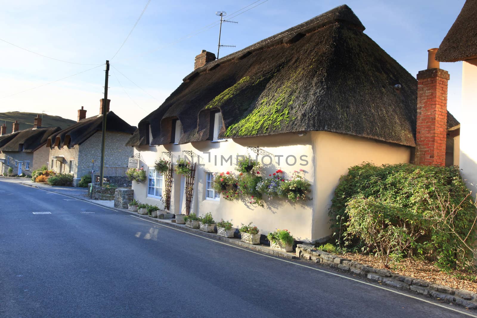 Thatched cottage in Lulworth village dorset england by olliemt