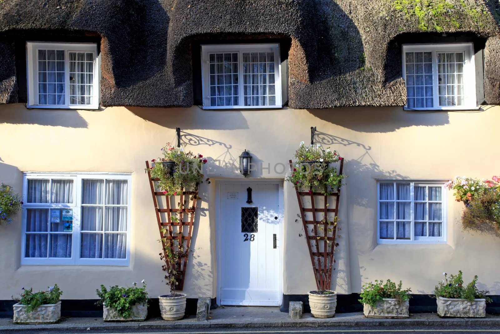 Traditional picturesque thatched buildings in the rural village of lulworth