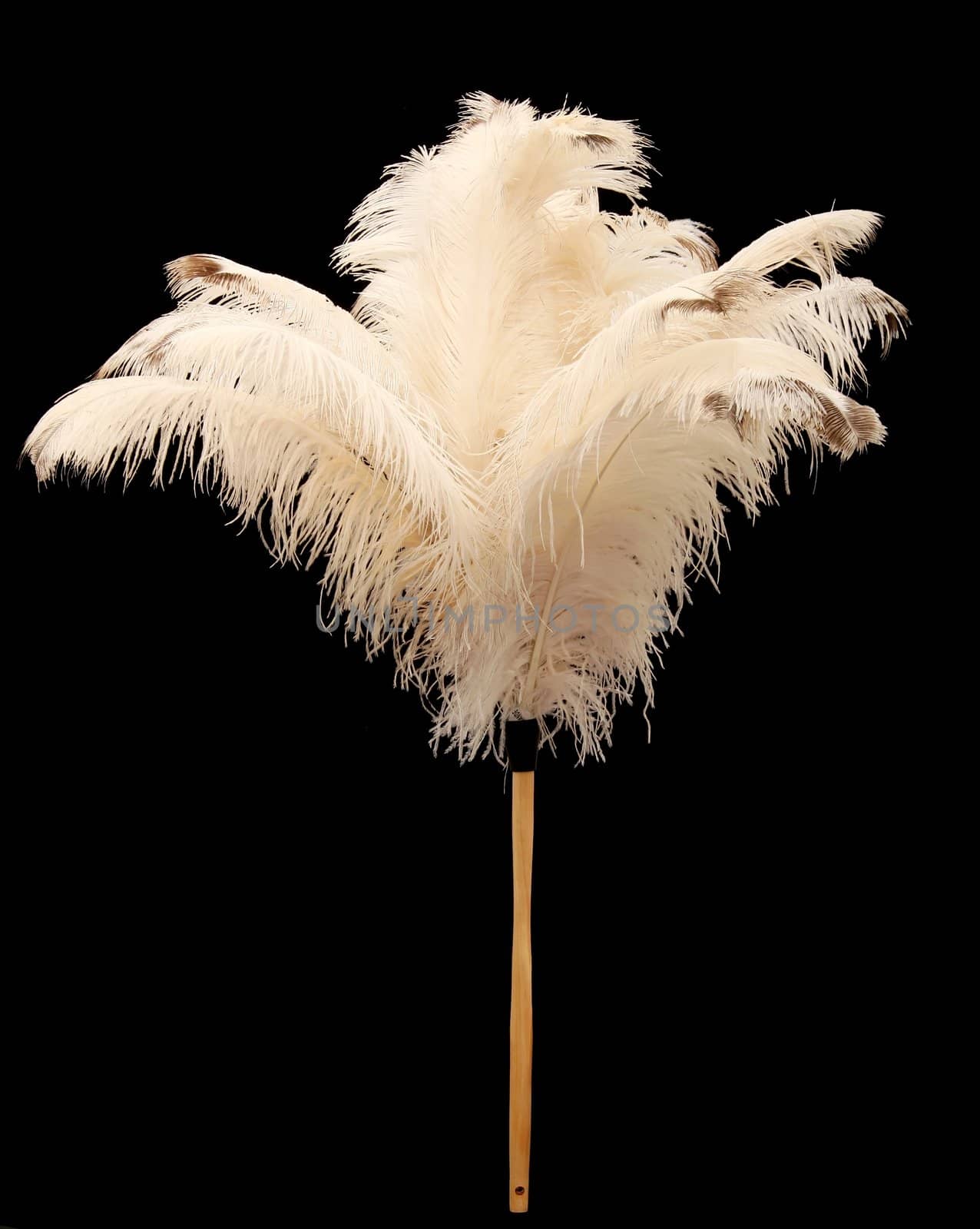 Feather duster made from real ostrich feathers - isolated on black background