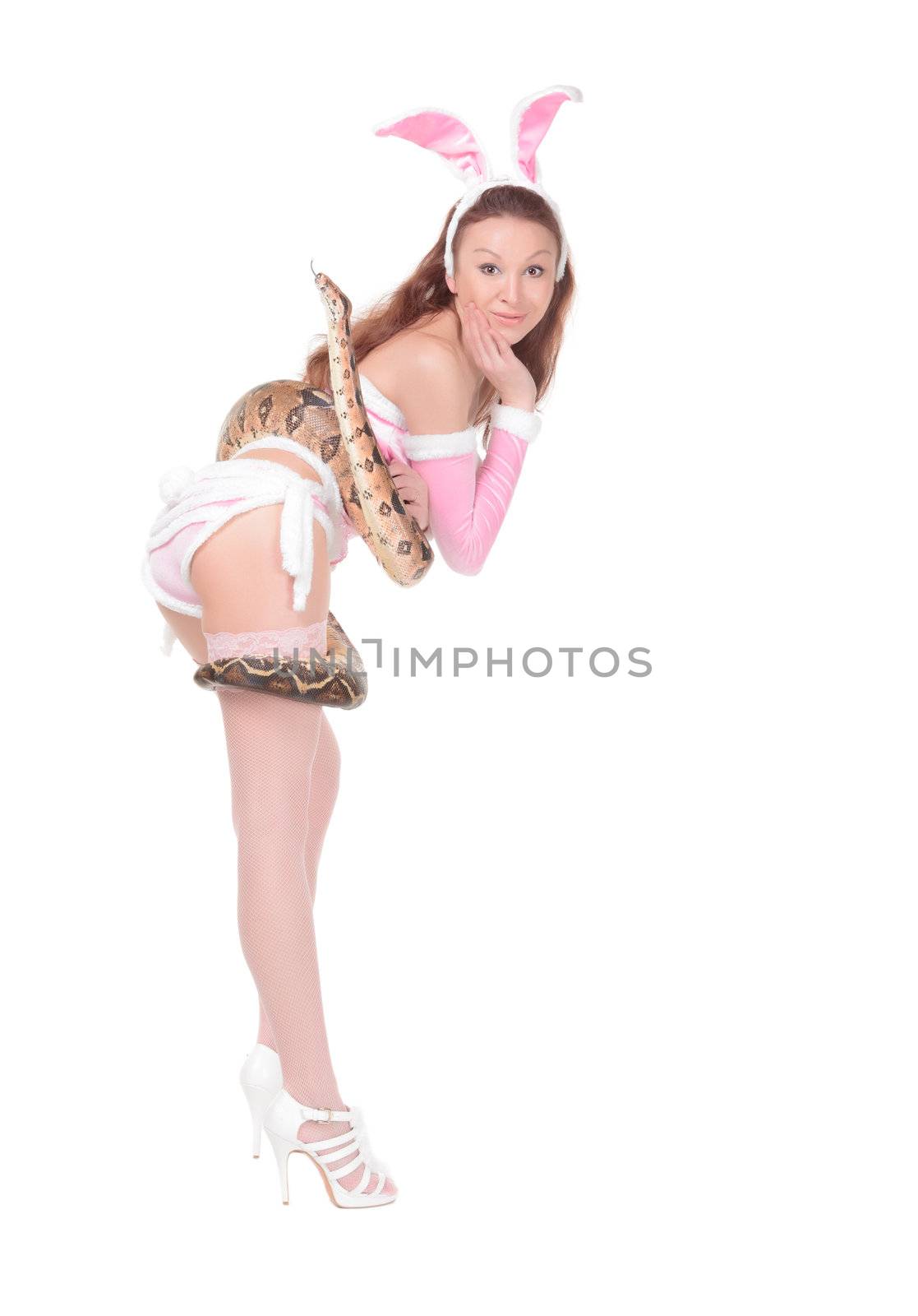 Beautiful young woman in bunny costume posing seductively with a boa