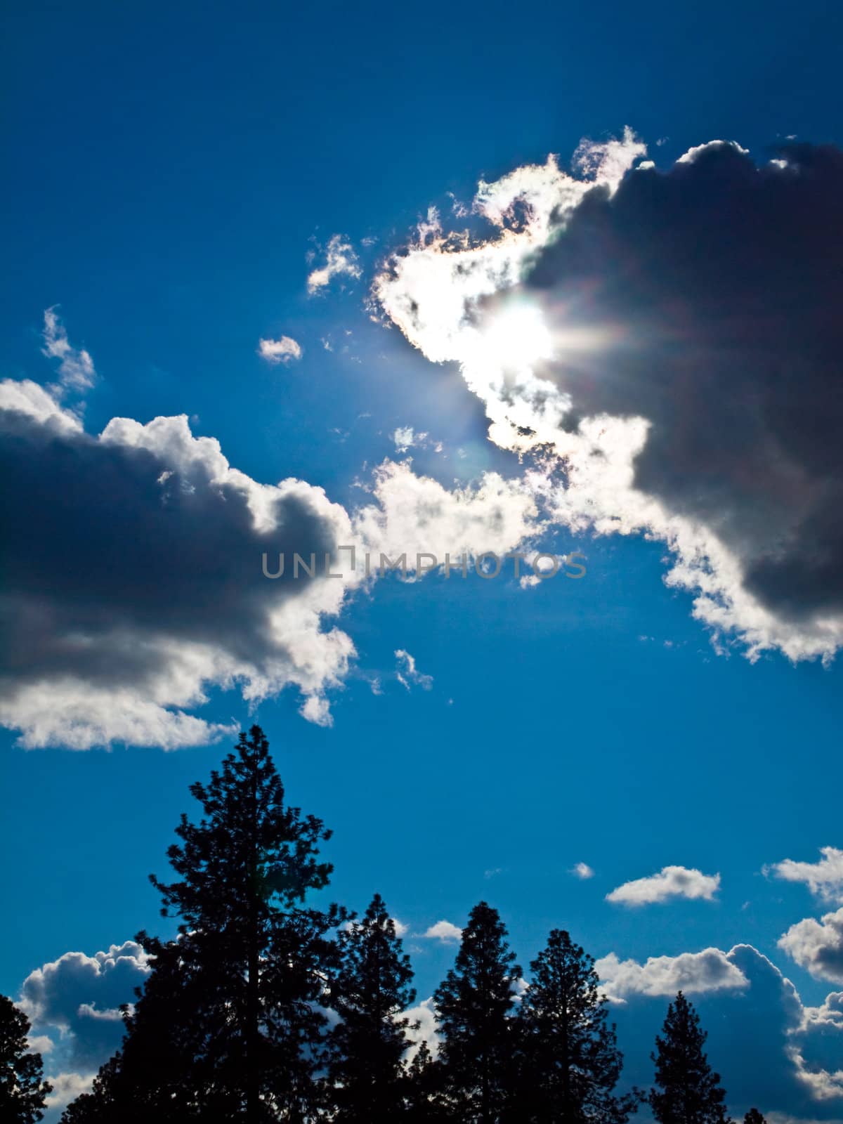 Bright Sun and White Clouds in a Blue Sky