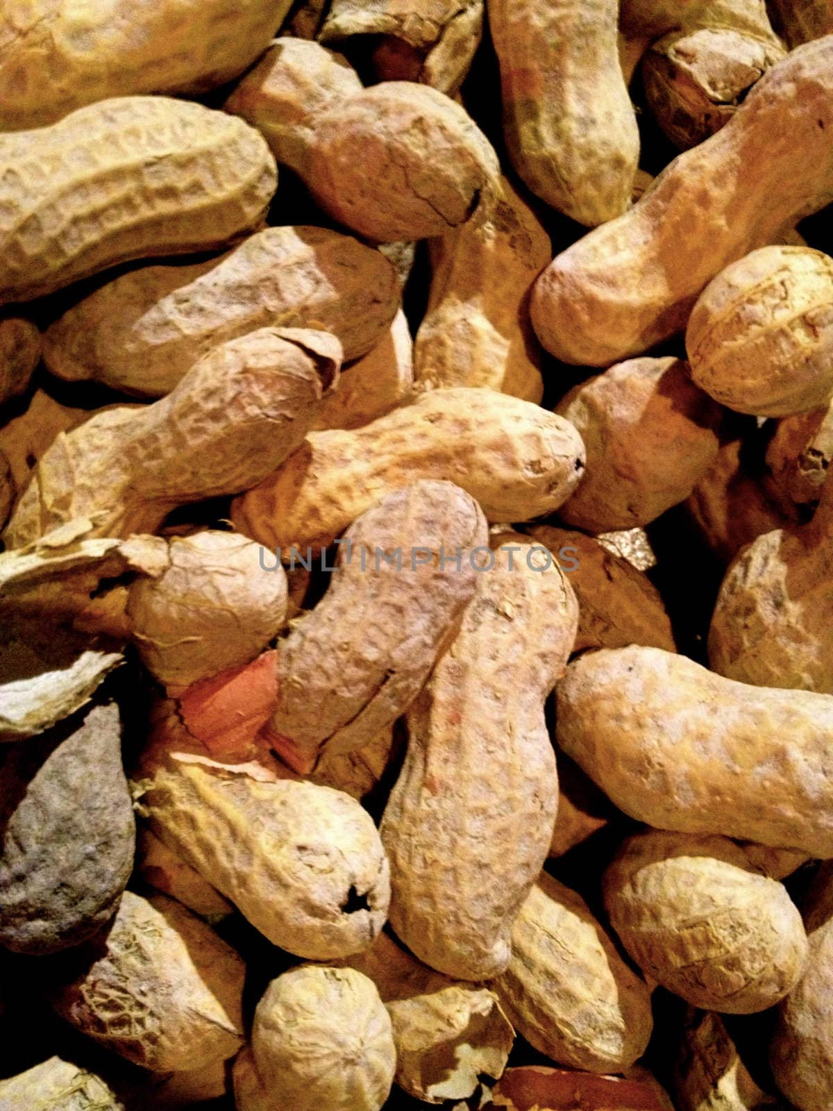 Peanuts
