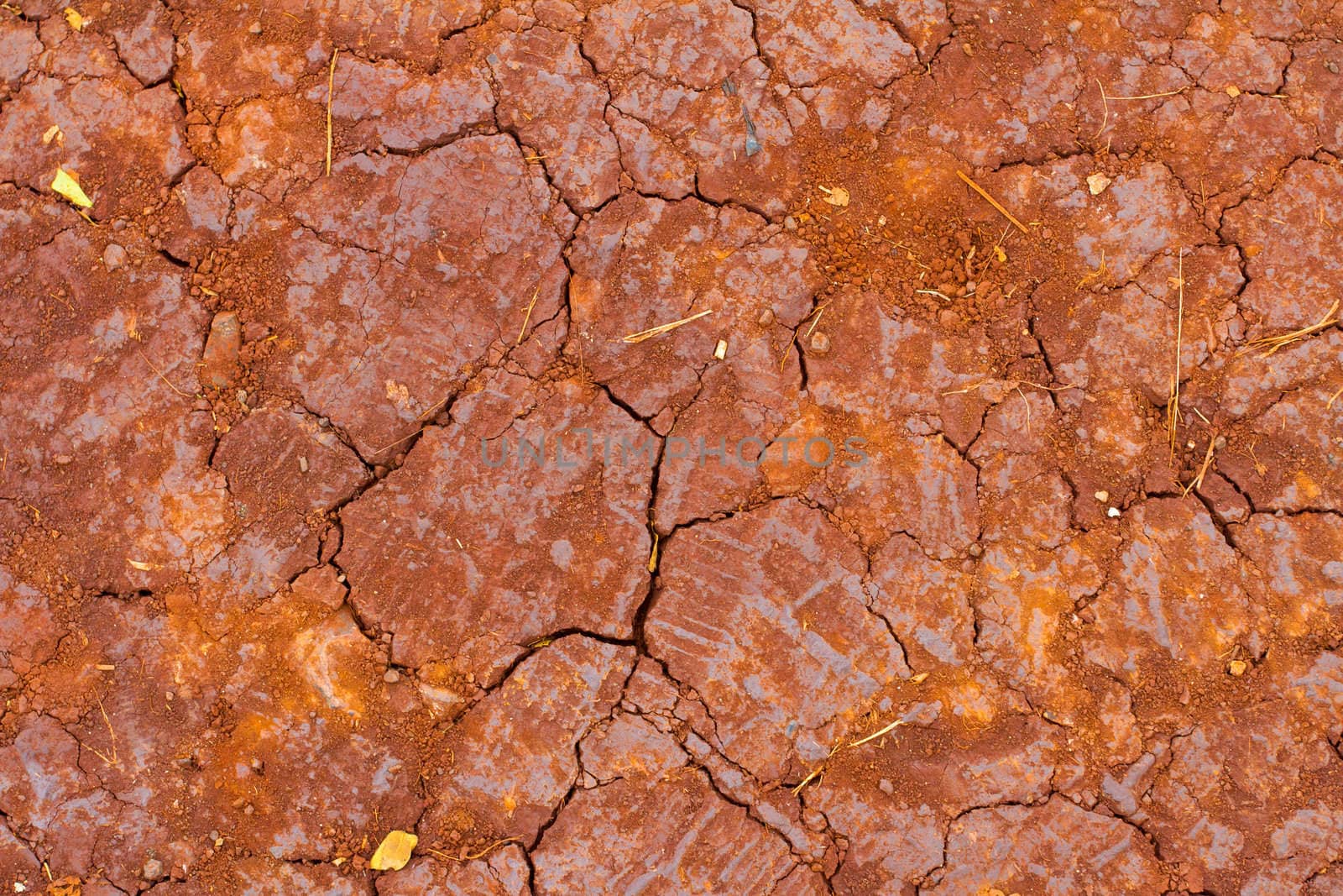 A drought has come across the land leaving everything dry and the dirt cracking. This is red lava rock dirt clay that hasn't seen water or liquid in a long time and is very dry.