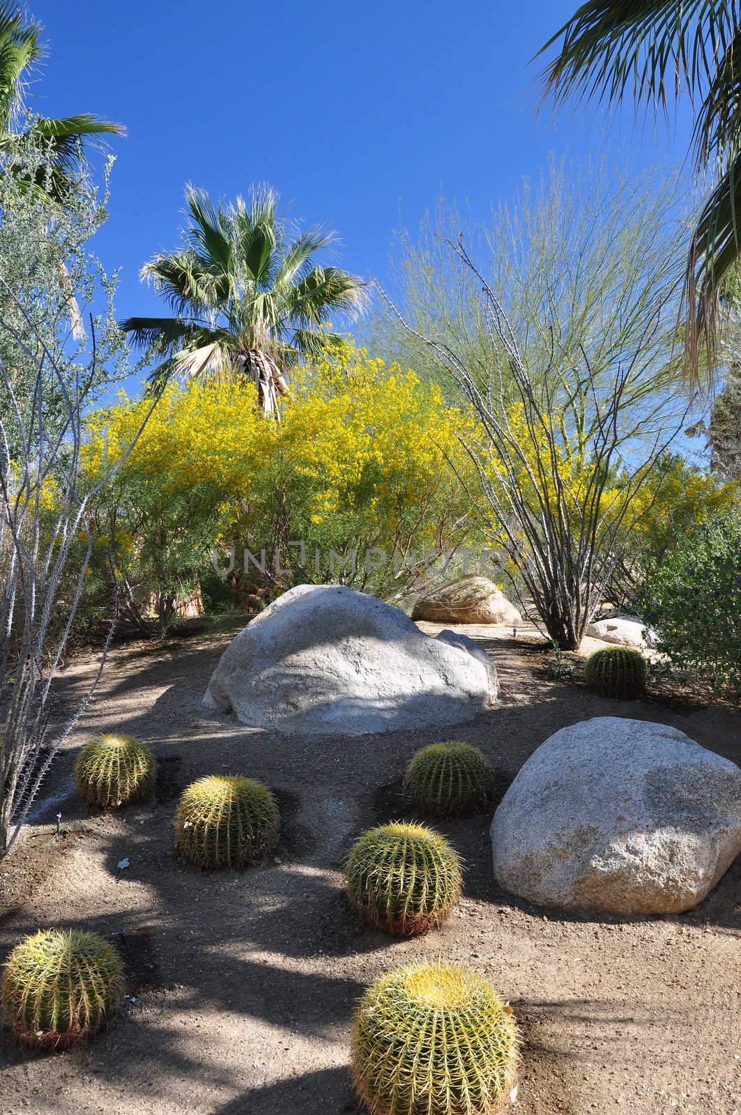 Cactus mixes with colorful desert shrubs on this hillside in Palm Desert, California.