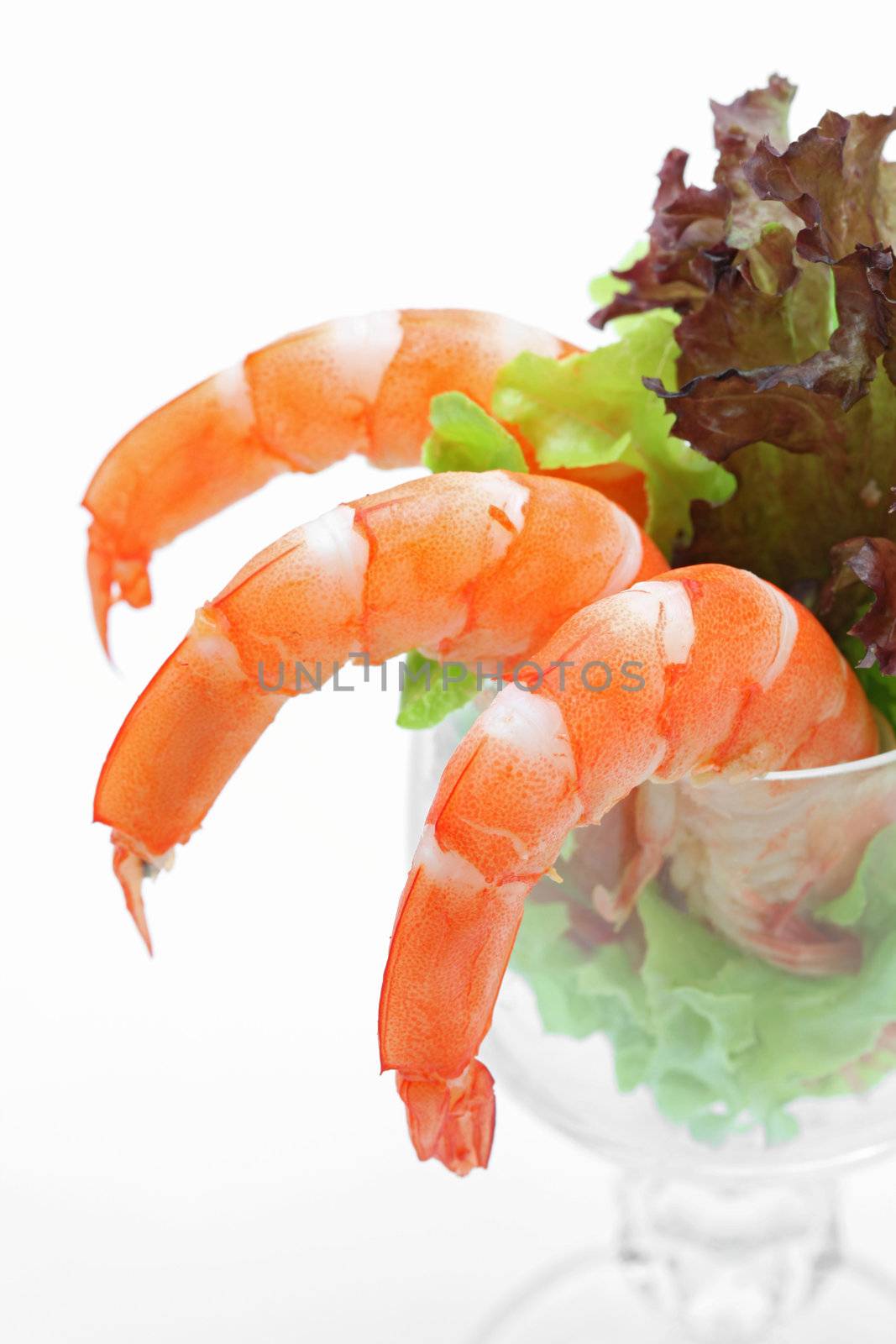 Shrimp cocktail in a martini glass with lettuce, closeup 