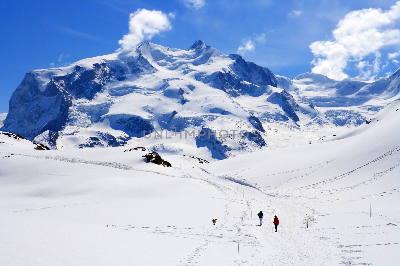 hiking Path at Matterhorn Switzerland by vichie81