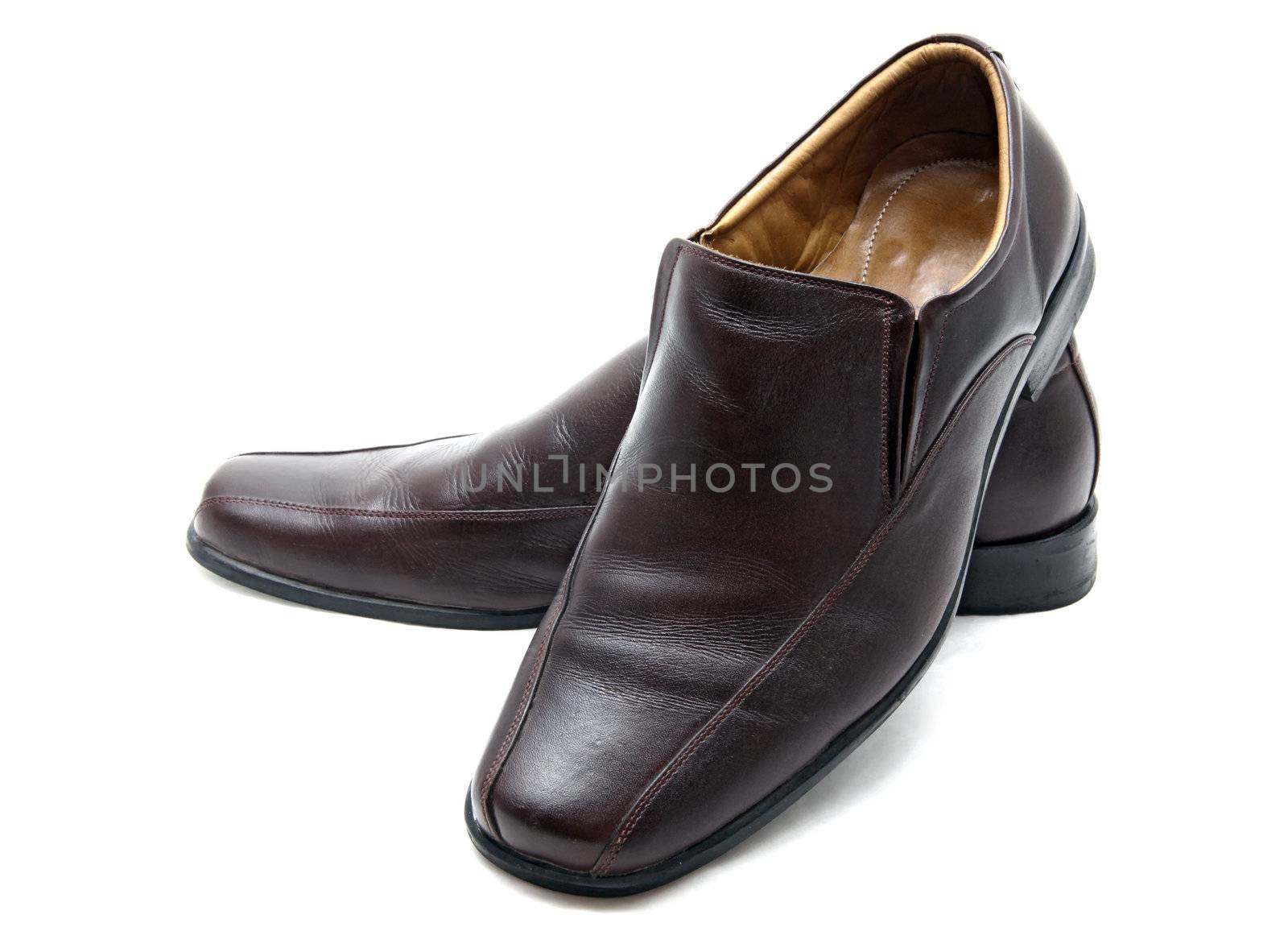 luxury brown leather man shoes on a white background