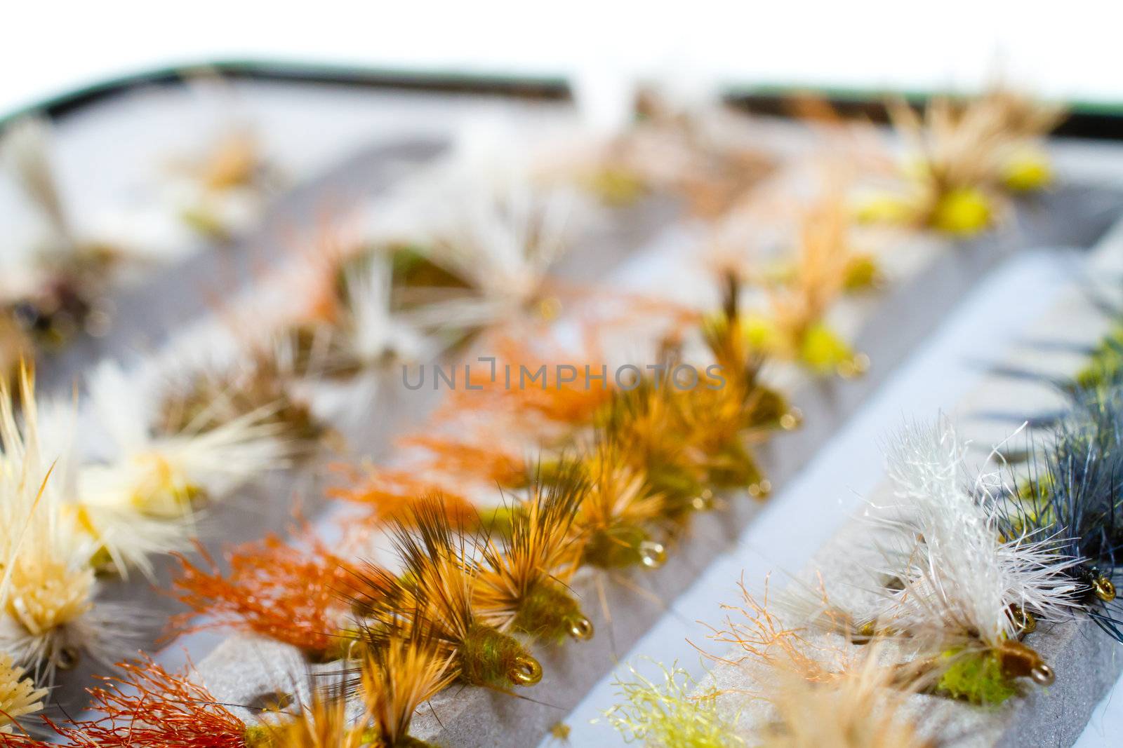 Fly Box Detail Dry Flies by joshuaraineyphotography