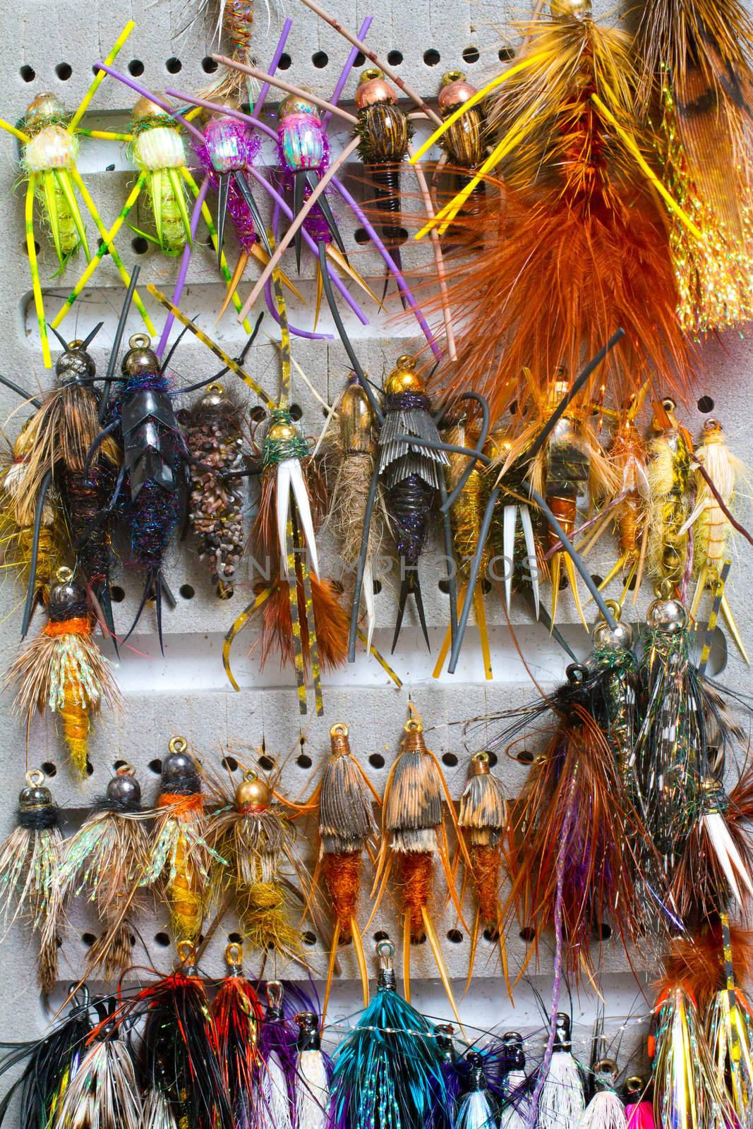 Nymphs and streamers are in this fly fishing box showing the variety of flies used to catch fish in this recreational pursuit.