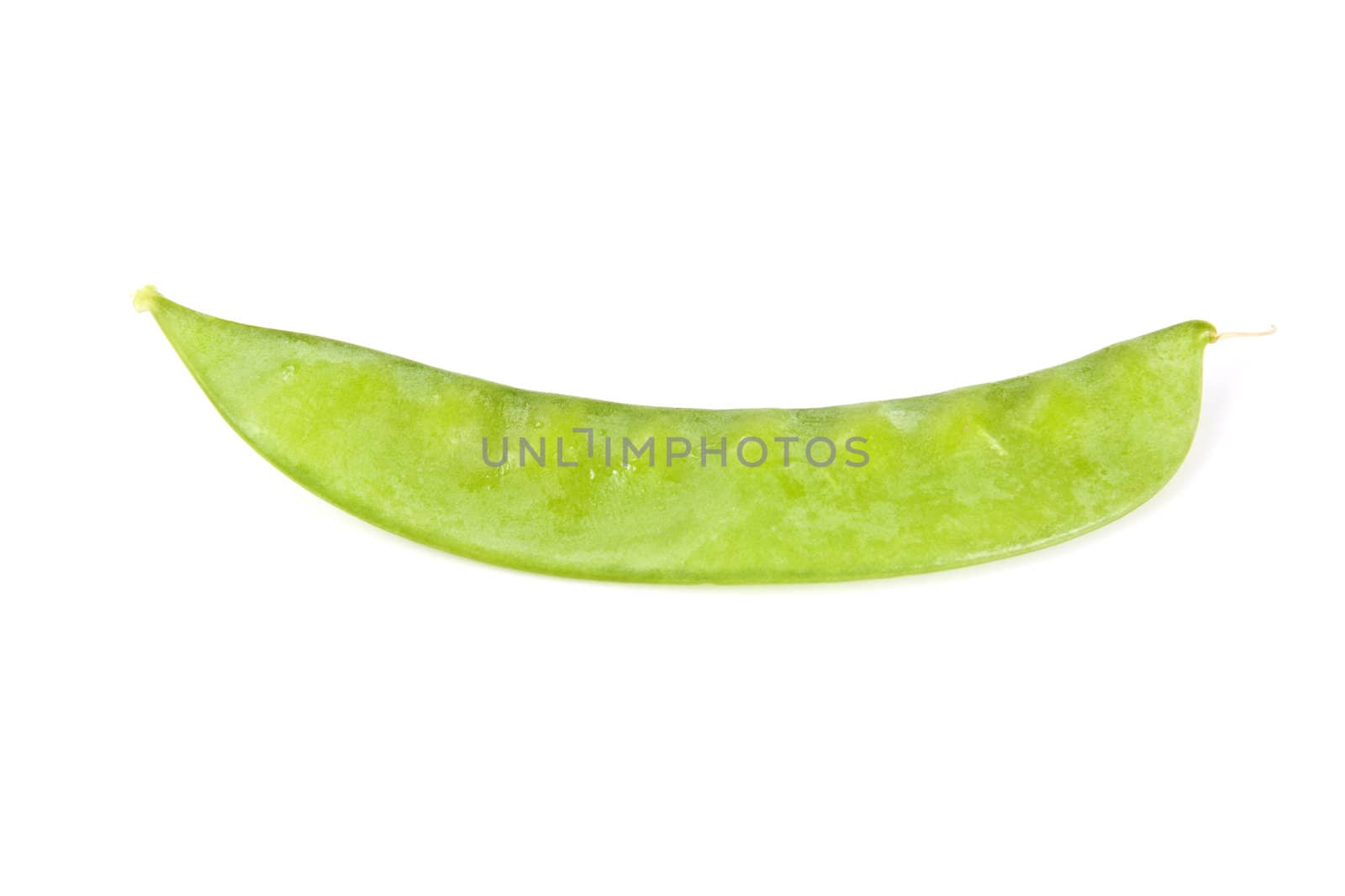 Fresh green pea on the white background