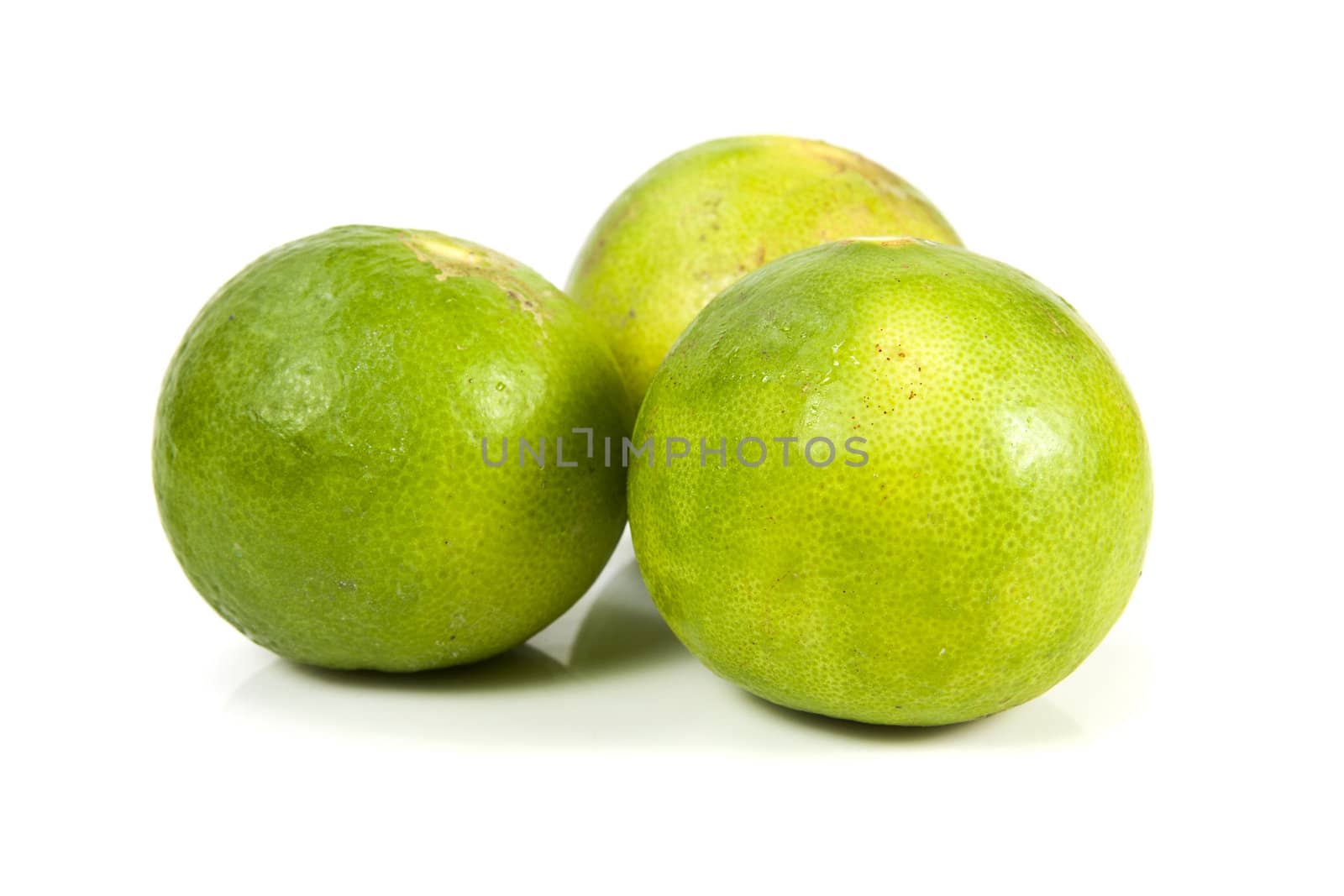 Group of fresh lime on the white background