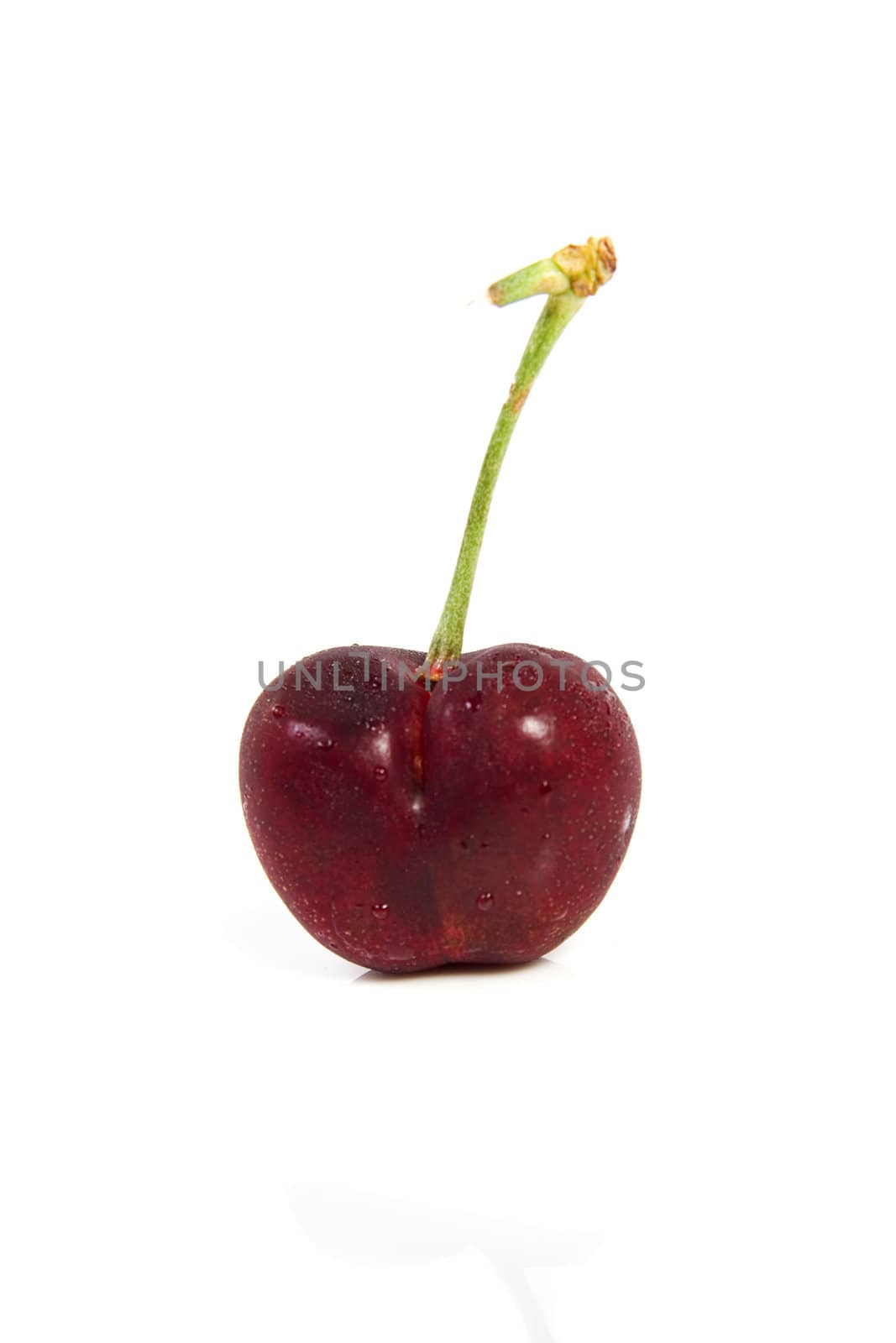Red cherry with dewdrops on isolated white