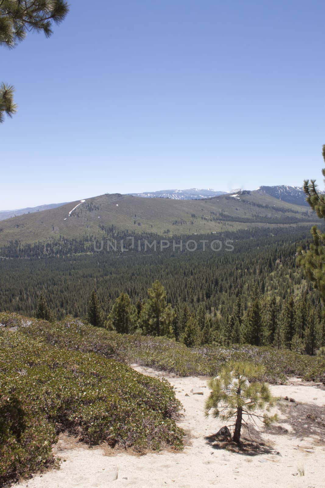 High angle of the Sierra Nevadas by jeremywhat