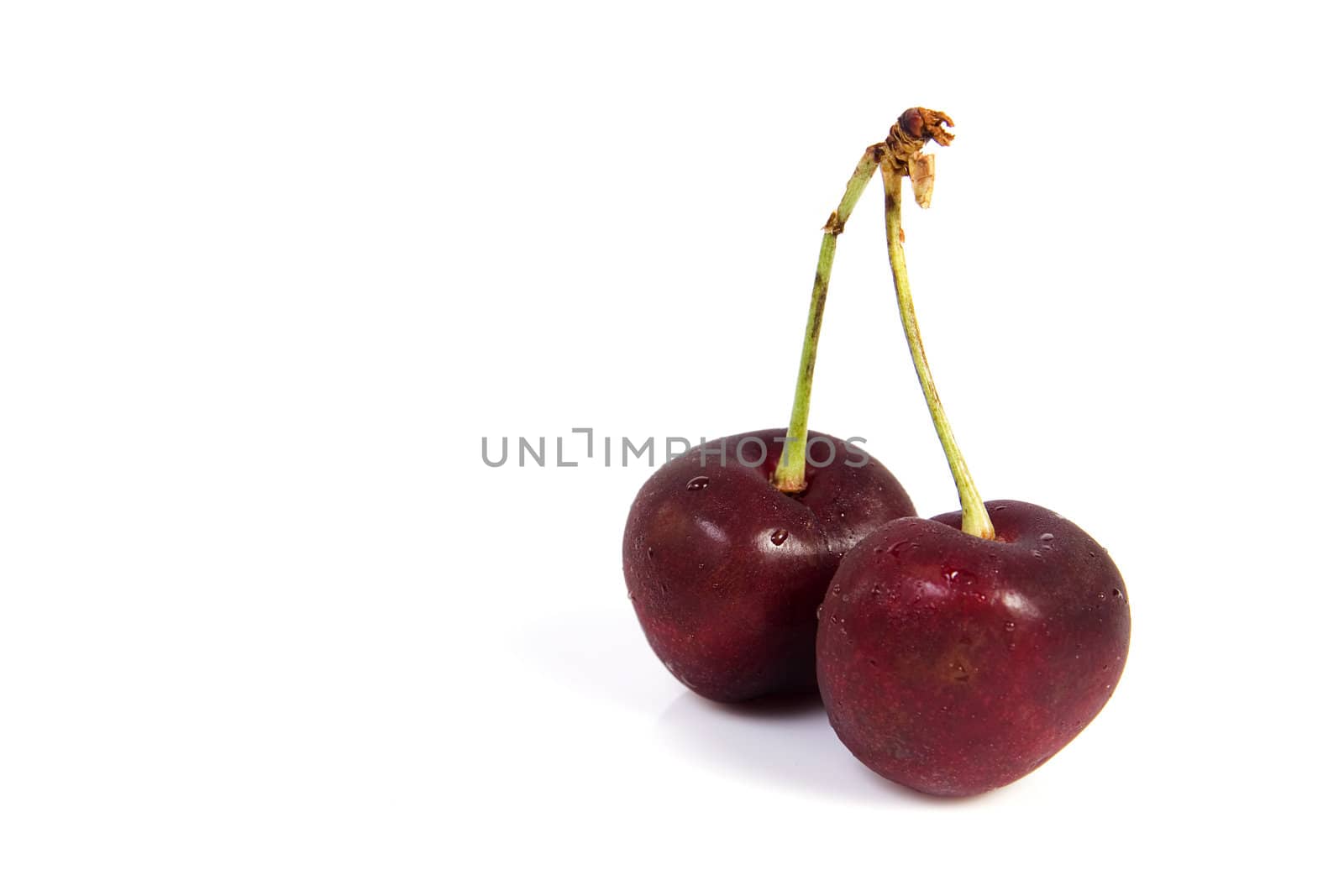 Two cherries with dewdrop on white background