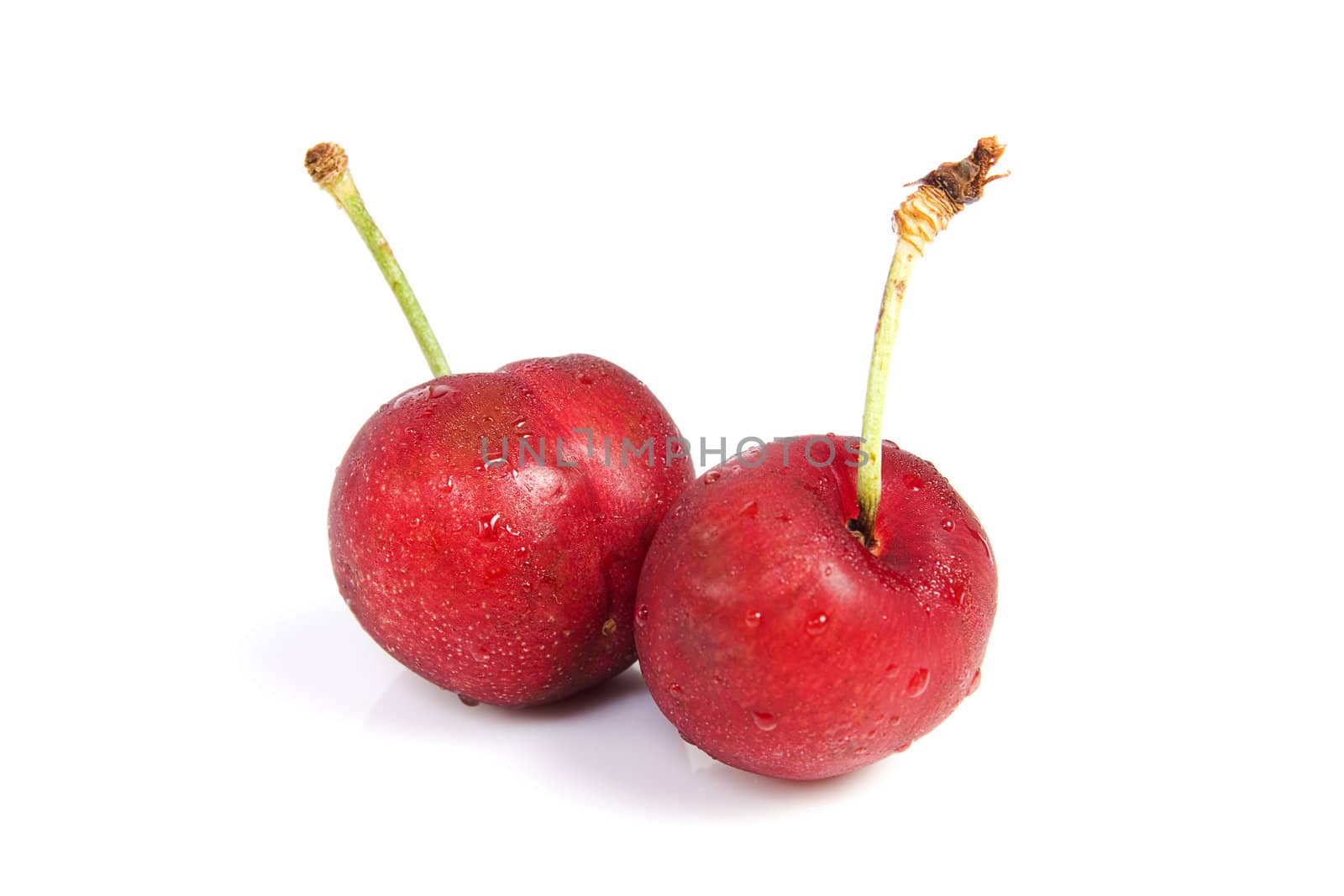 Two cherries with dewdrop on white background