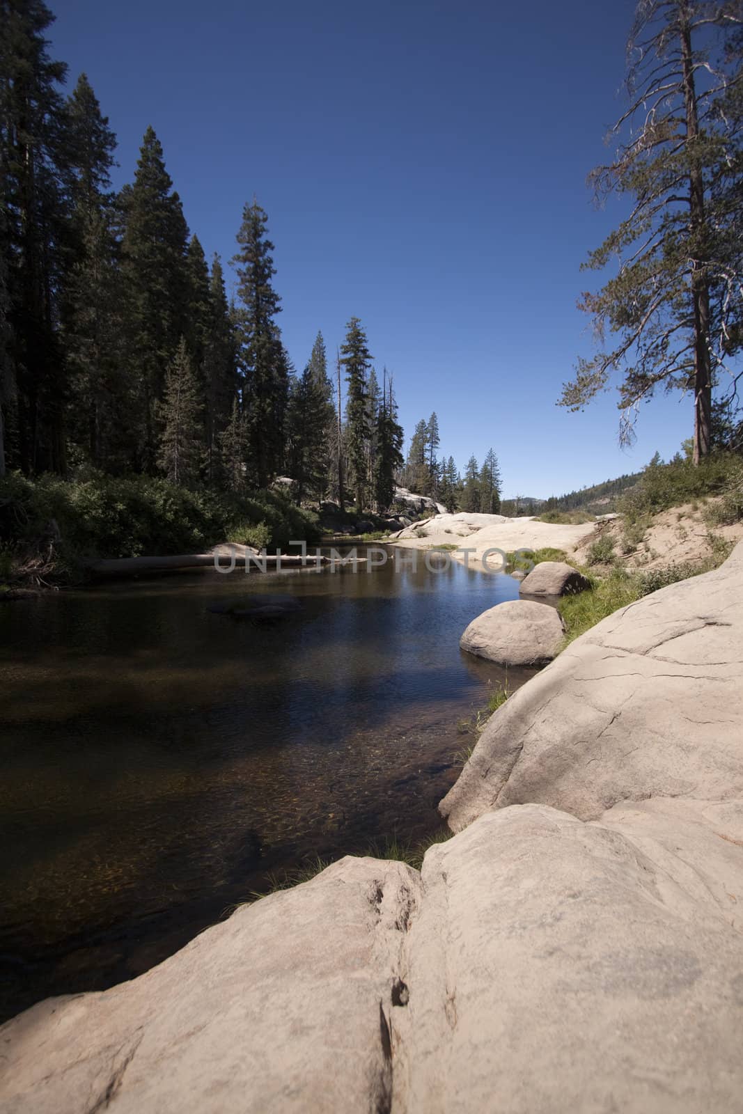 Flowing river in the spring by jeremywhat