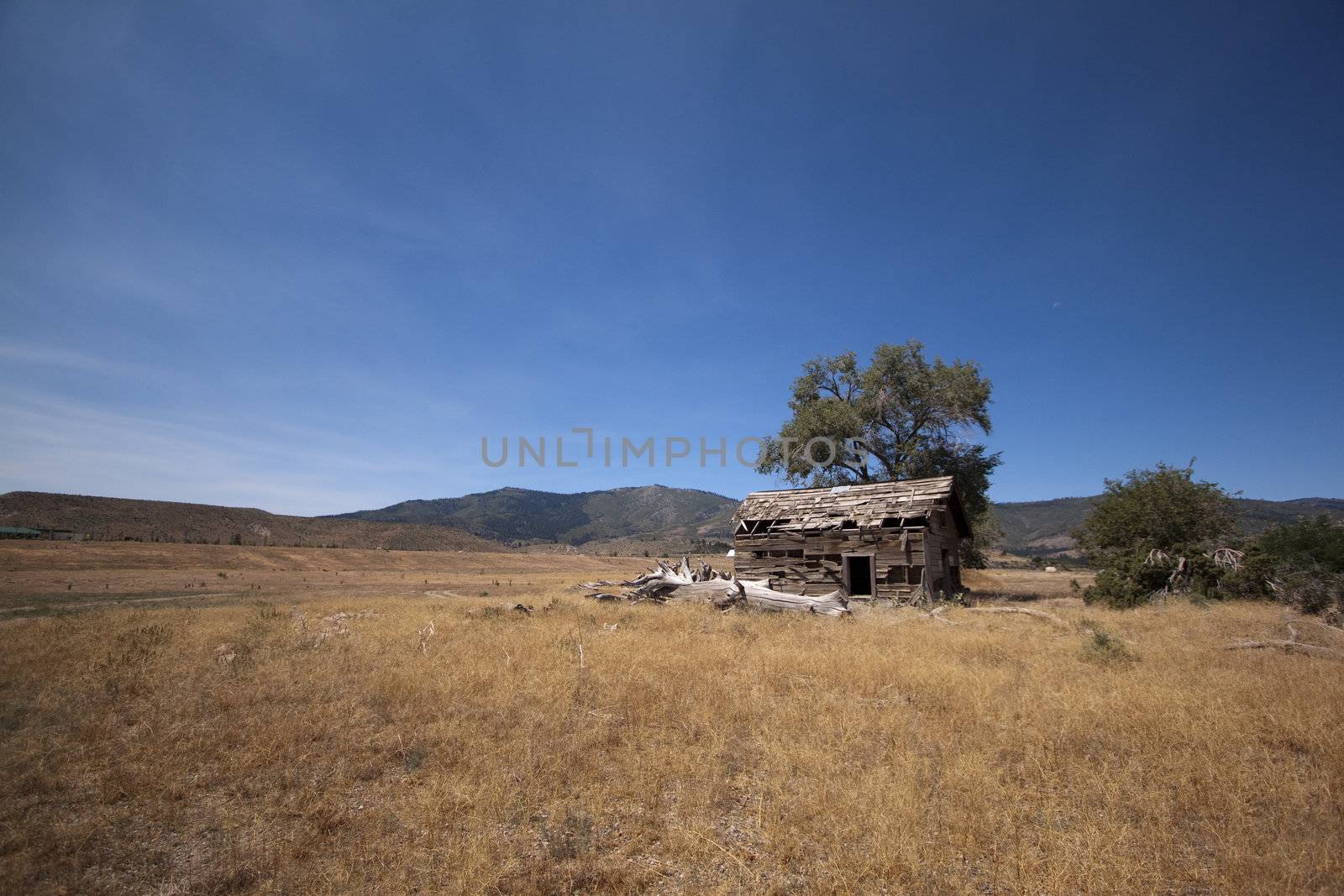 Old farm barn or cain in the open planes by jeremywhat