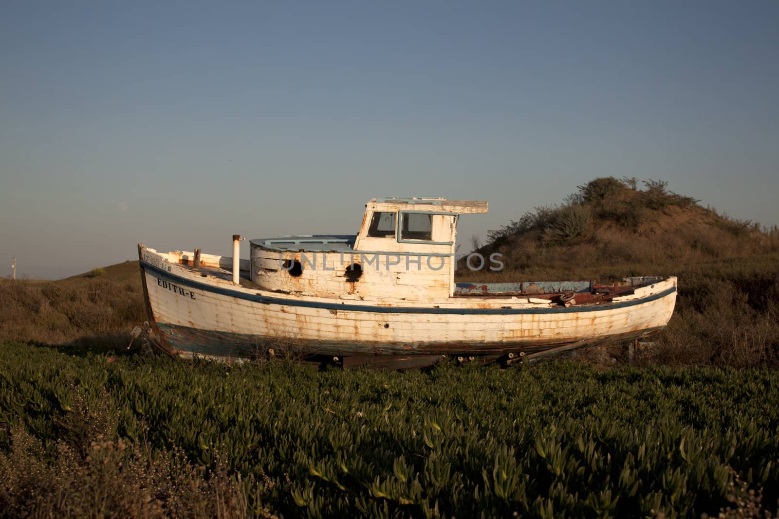 An old boat in ivy with blue skies by jeremywhat