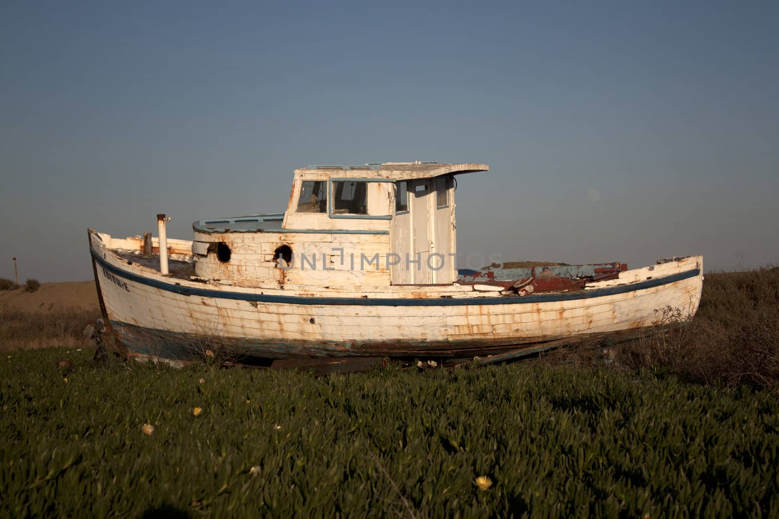 An old boat in ivy with blue skies by jeremywhat