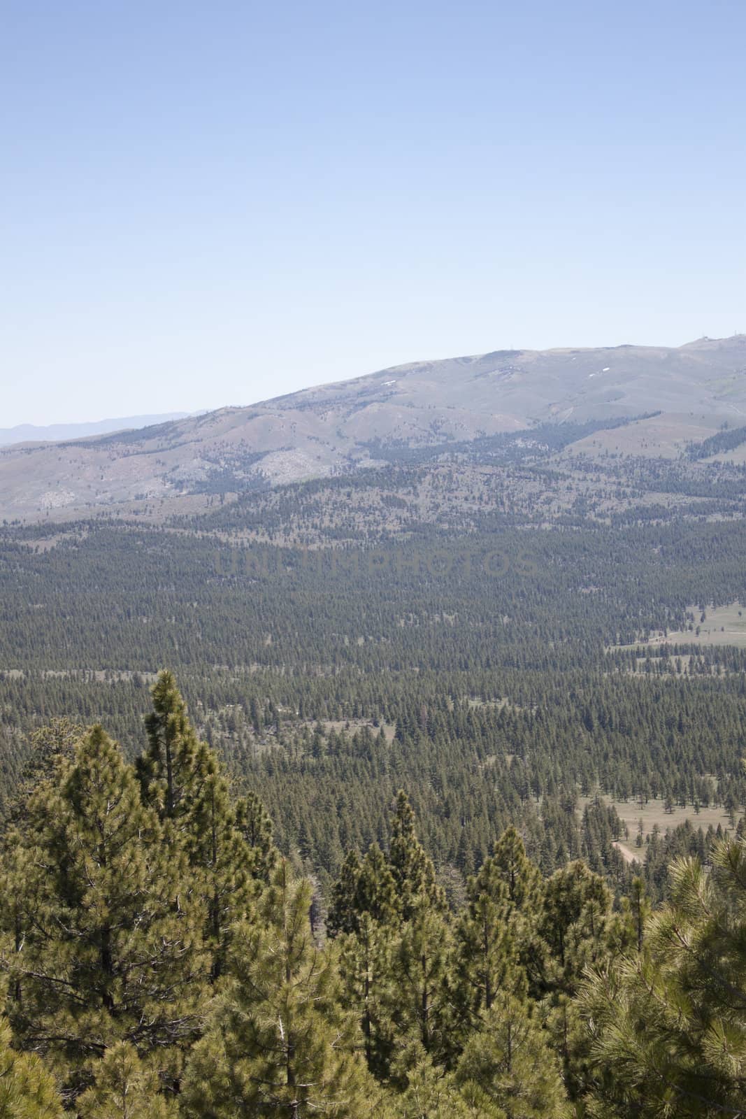 High angle of the Sierra Nevadas with blue sky and granite