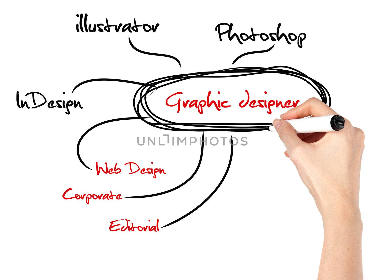 Woman hand with graphic skill diagram sketch on whiteboard