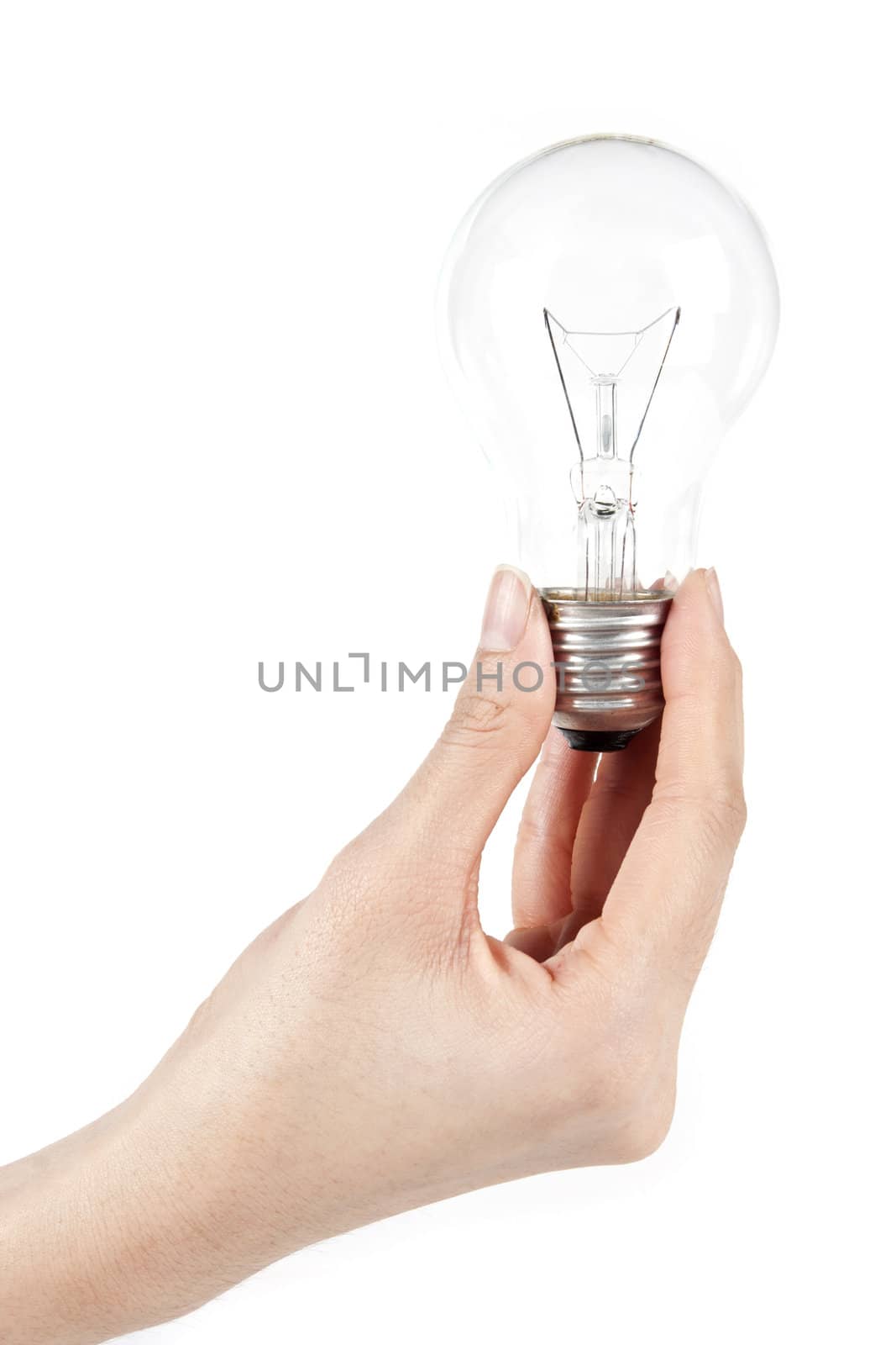 Light bulb in hand on white background
