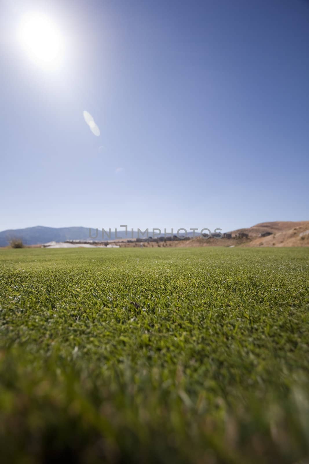 Golf course with green grass and clear blue skies. by jeremywhat