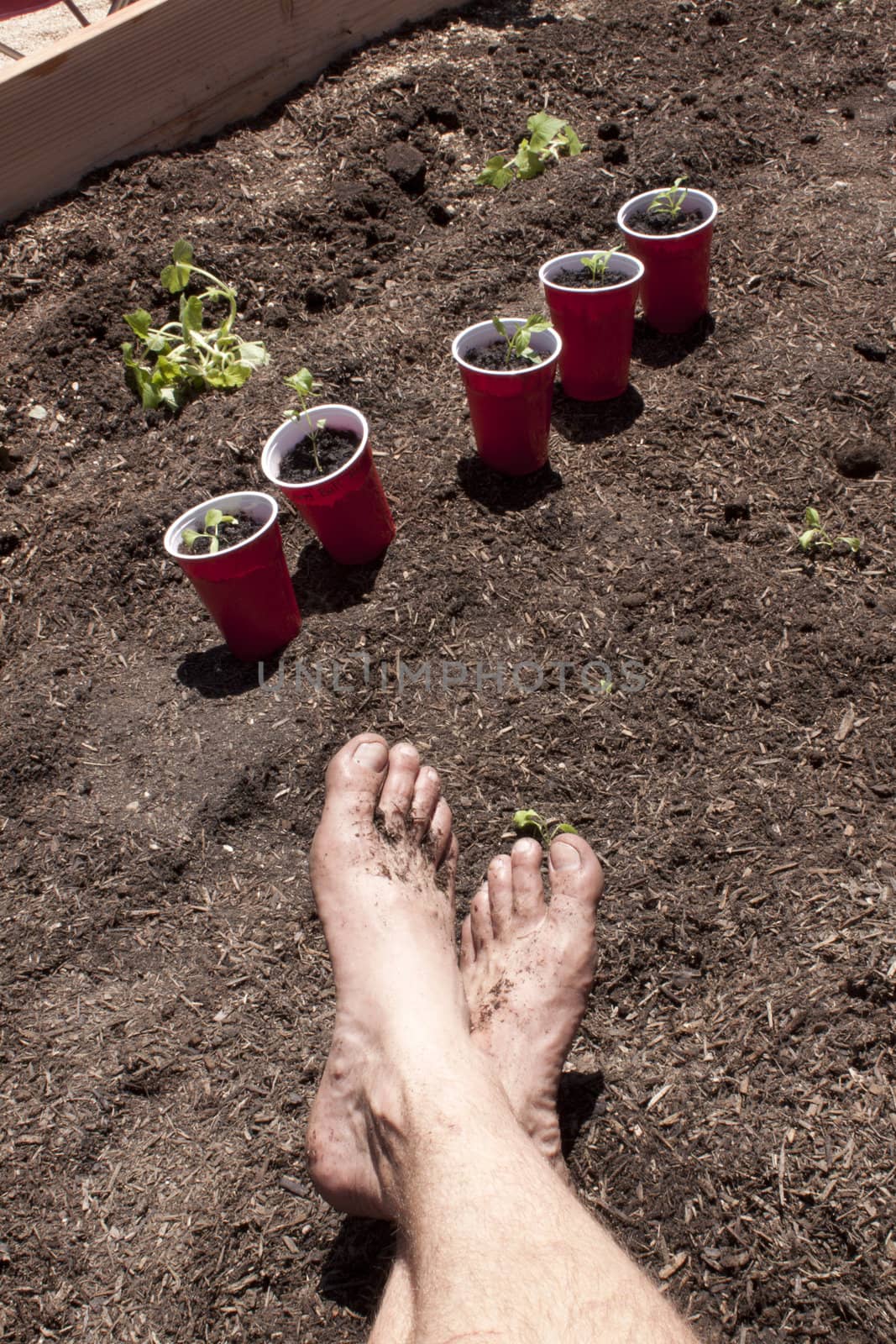Gardening with feet in the dirt.  by jeremywhat