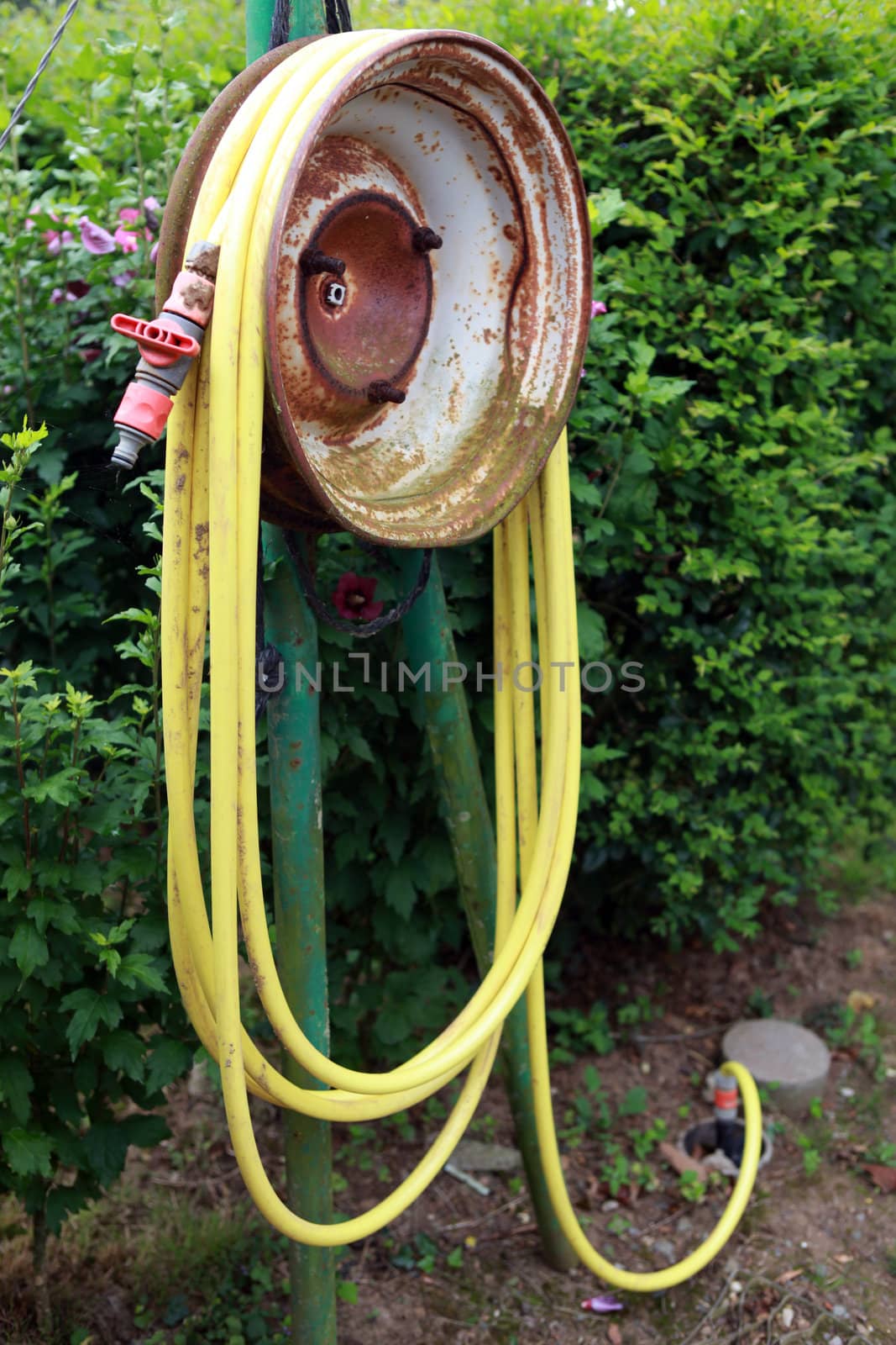 Garden hose by phovoir