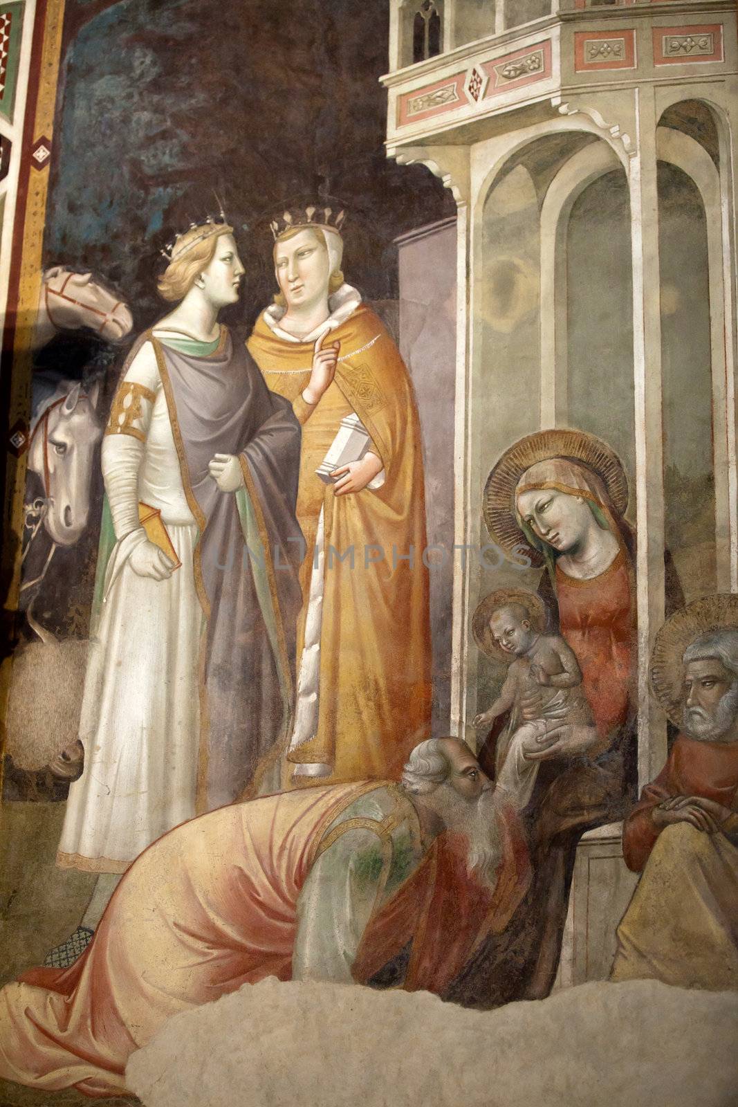 Florence -  Santa Croce: Frescoes in the Baroncelli Chapel. Life of the Virgin